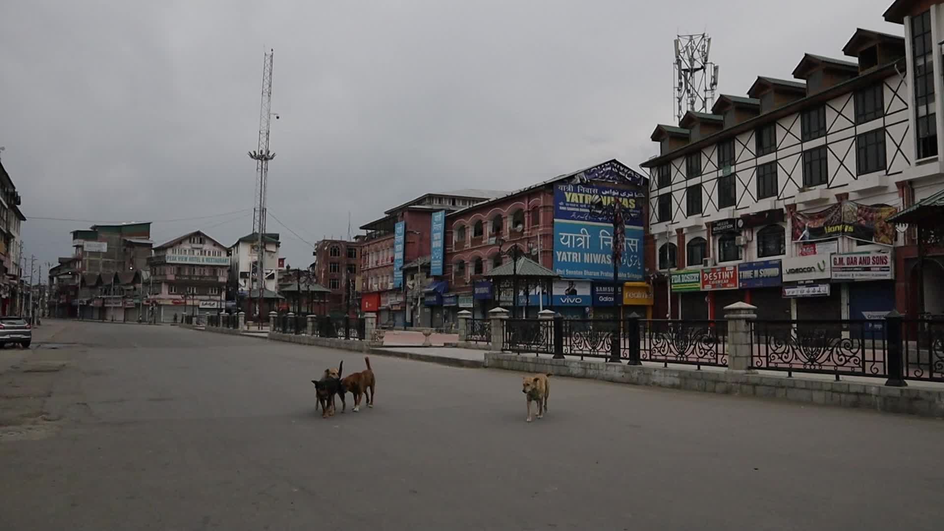 Covid-19 Lockdown In Kashmir