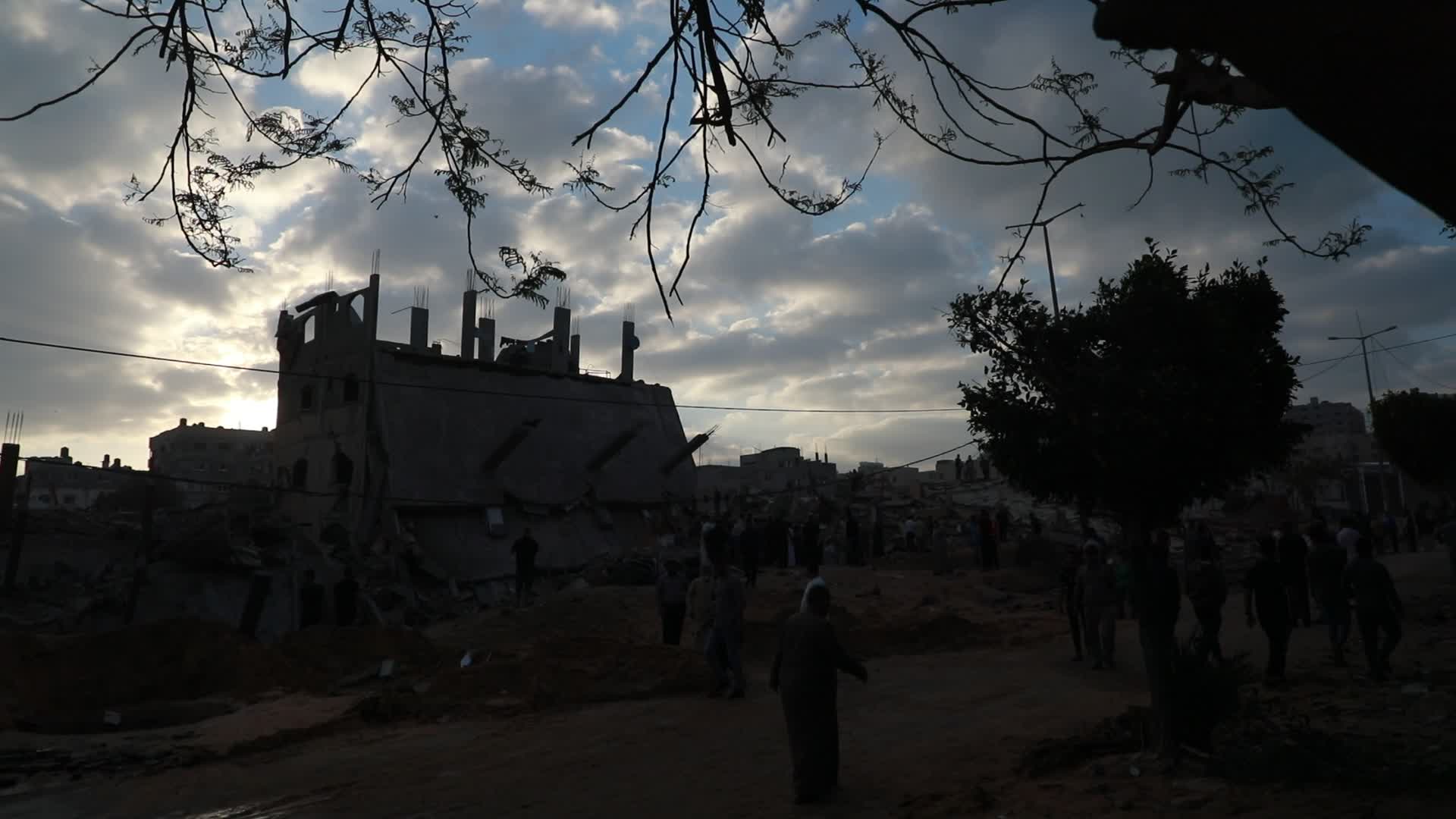 Palestine Israel Conflict