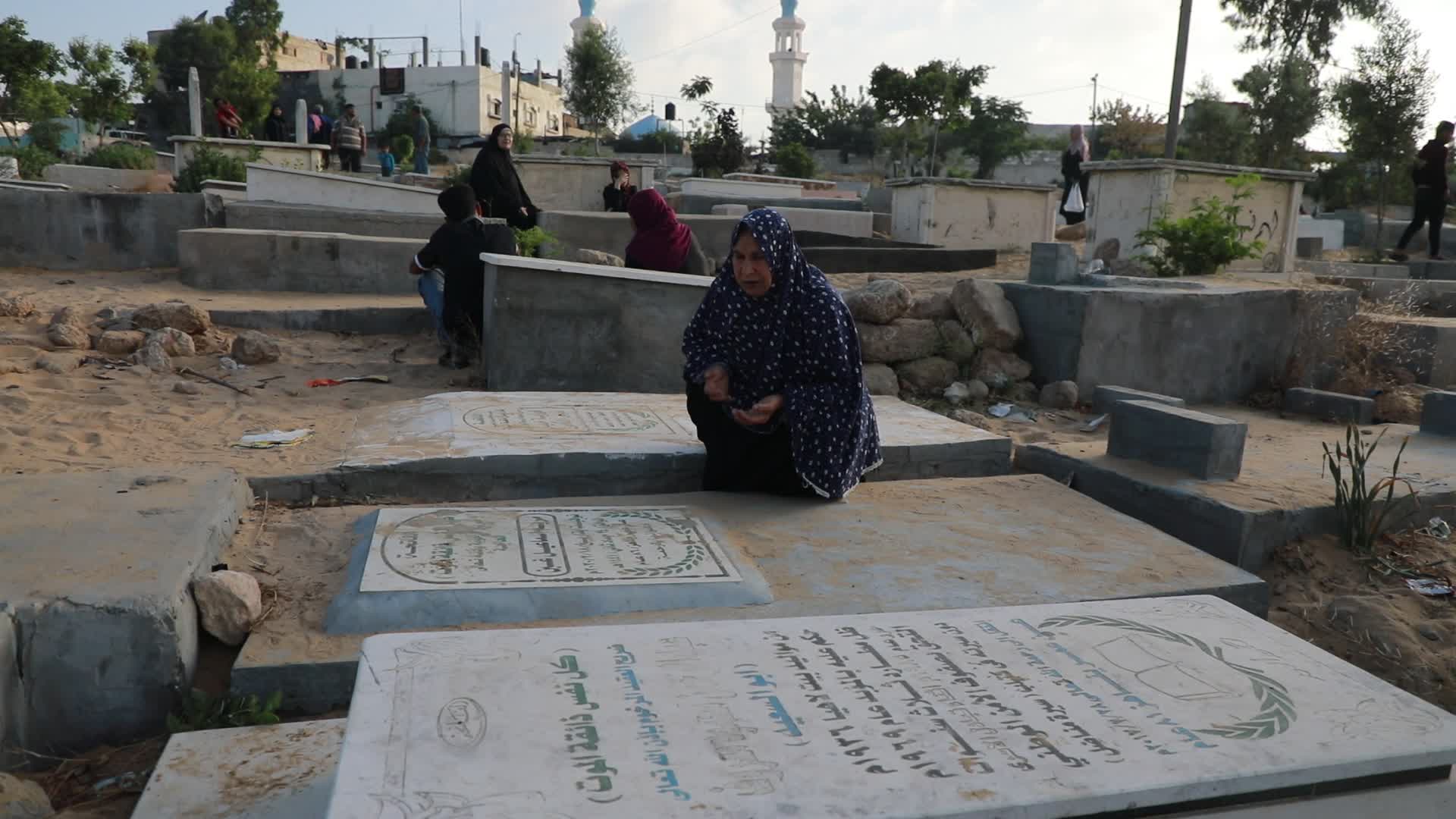 Palestine Israel Conflict