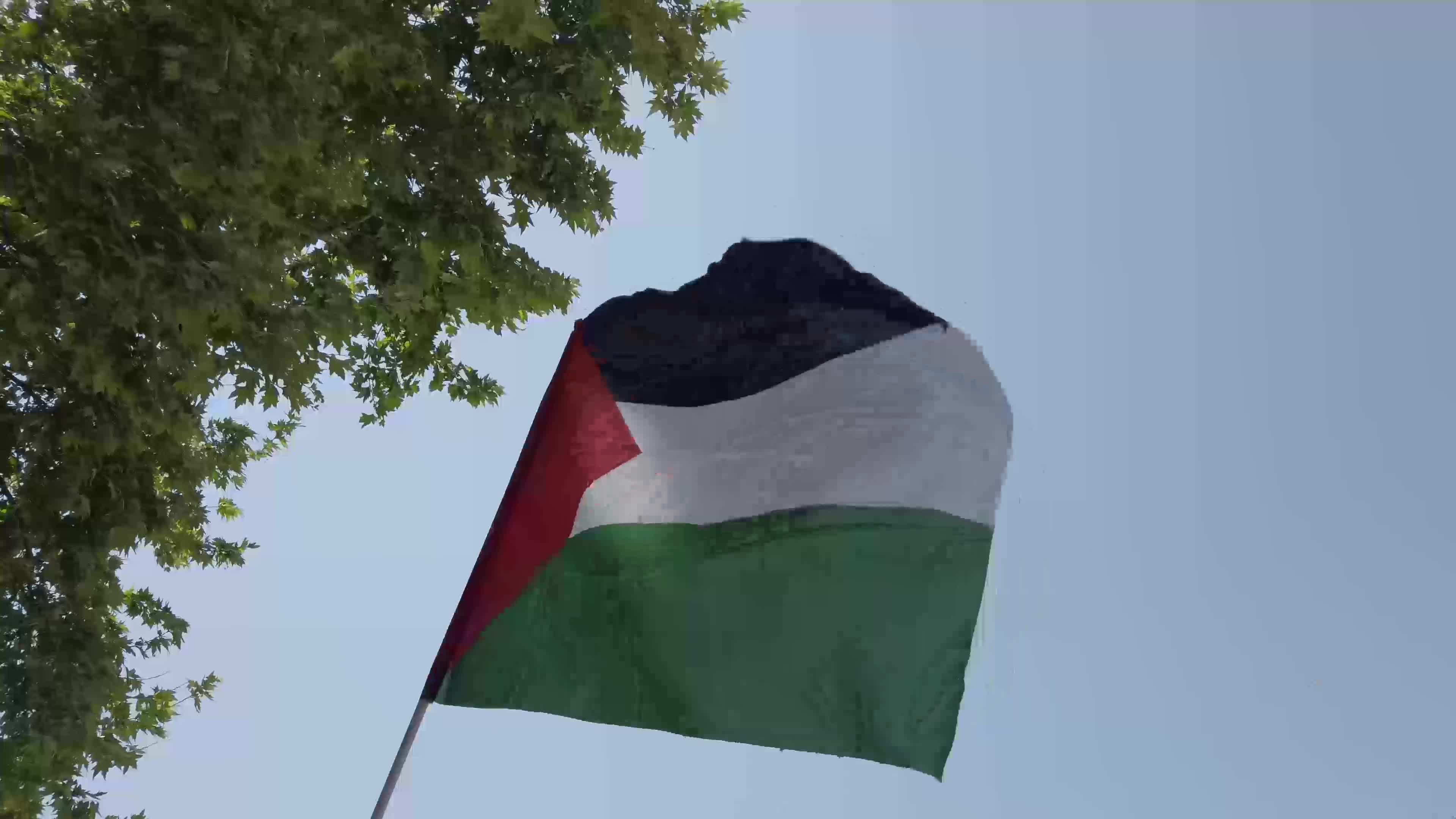 Demonstration in support of Palestine in Turkey