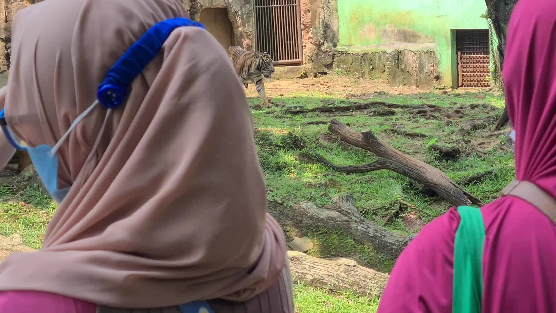 Eid al-Fitr at Zoo Park in Jakarta, Indonesia
