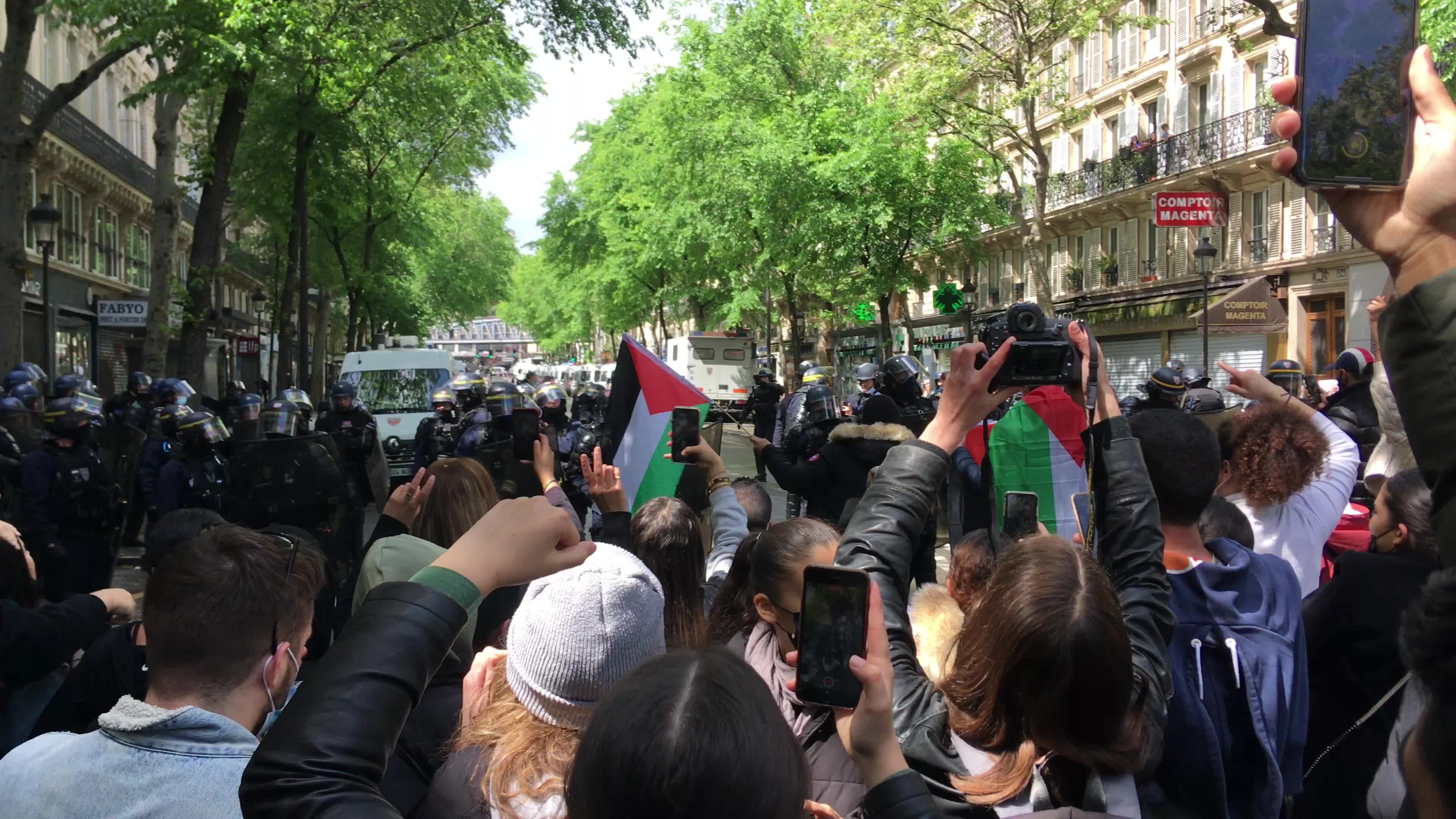 Pro-Palestinian protest in Paris