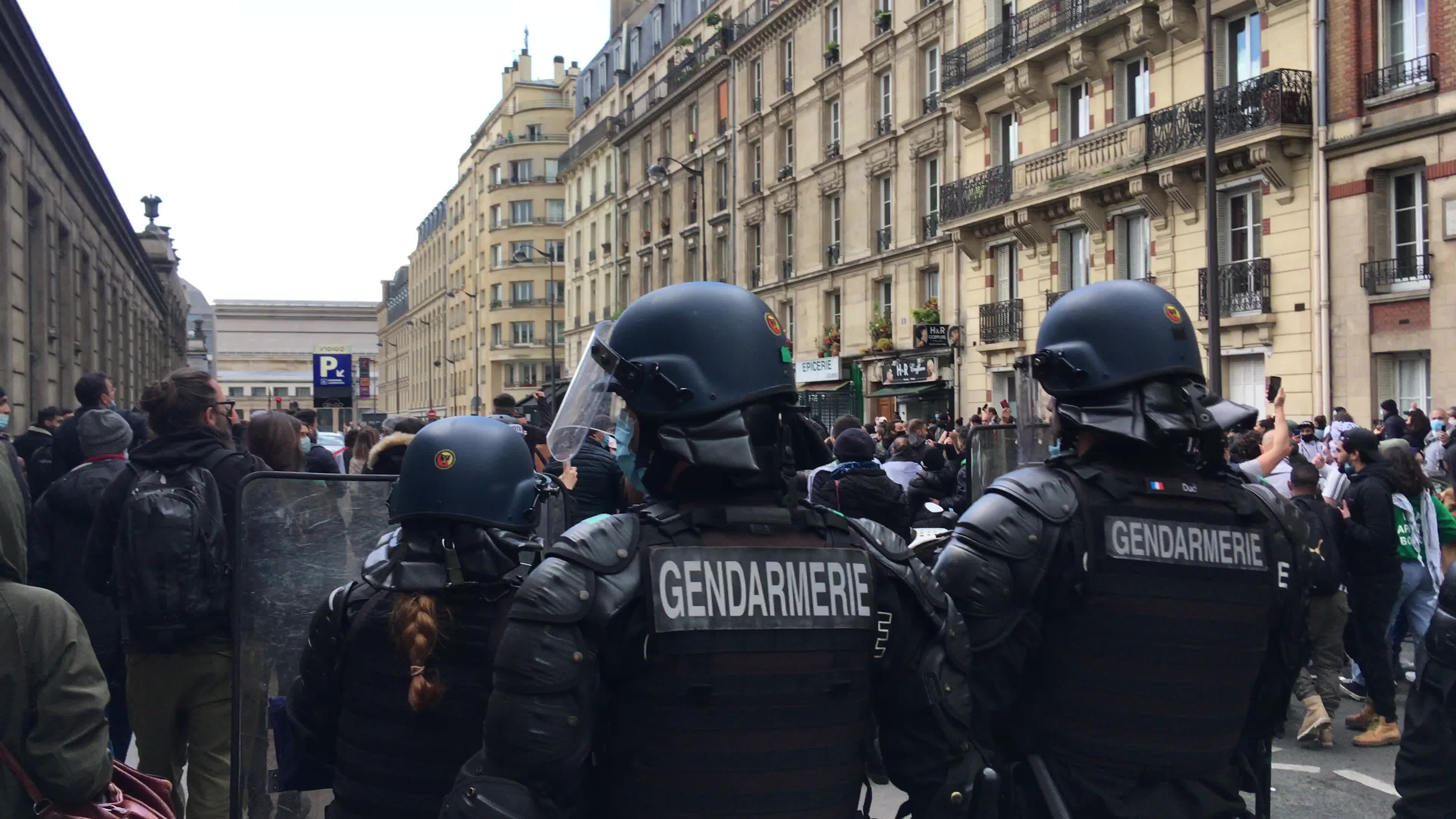 Pro-Palestinian protest in Paris
