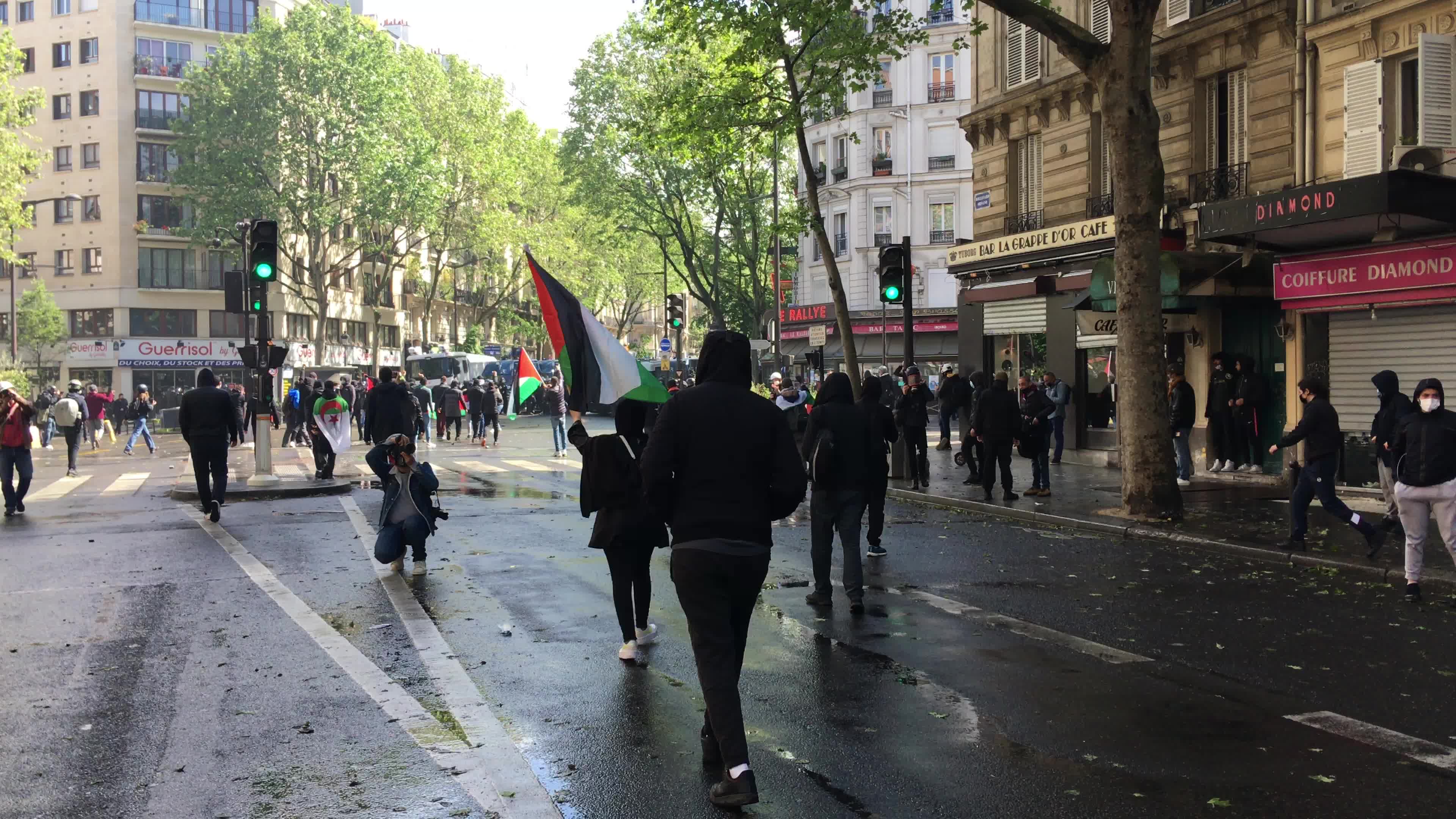 Pro-Palestinian protest in Paris