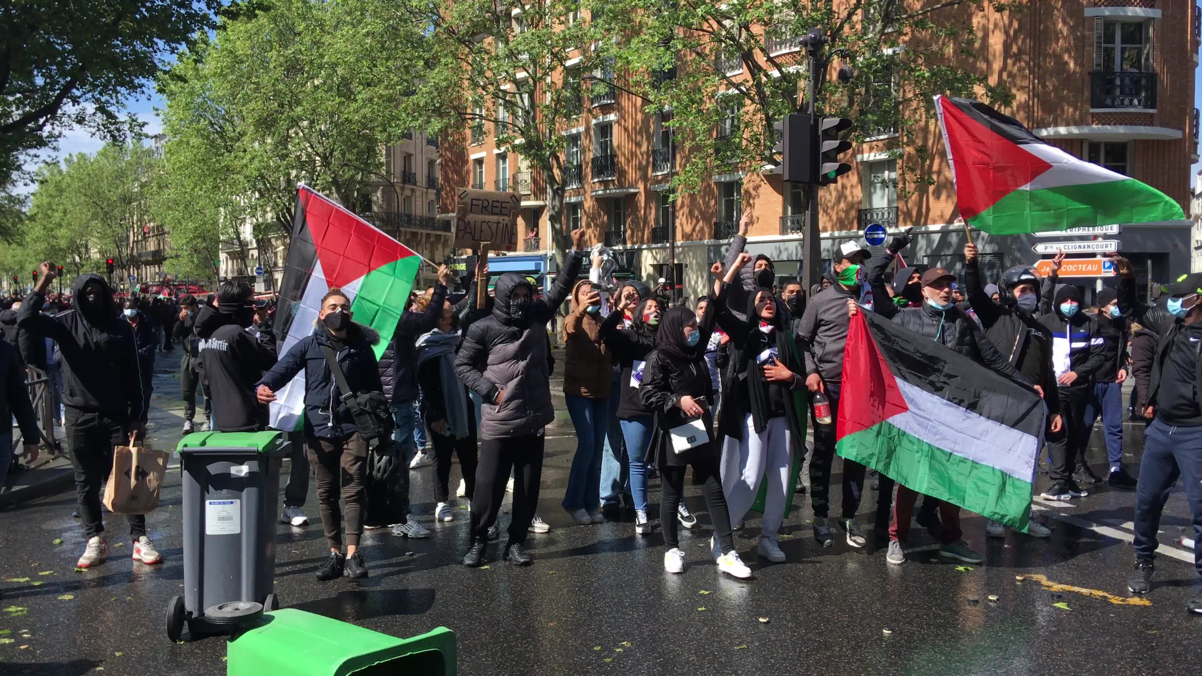Pro-Palestinian protest in Paris