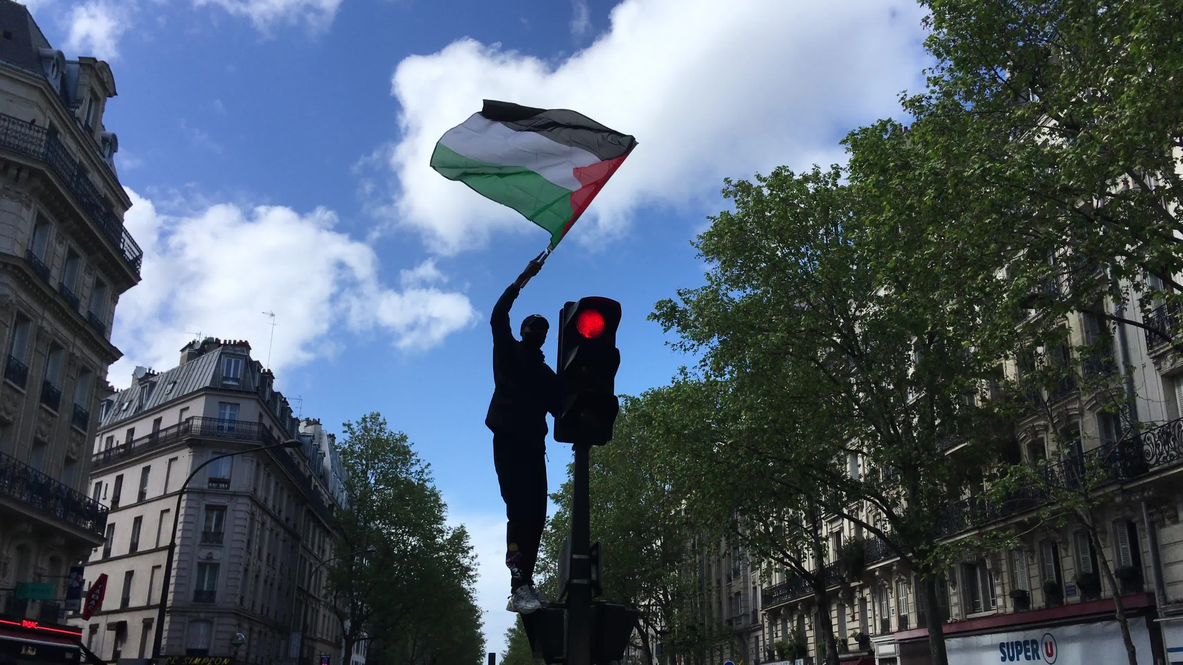 Pro-Palestinian protest in Paris
