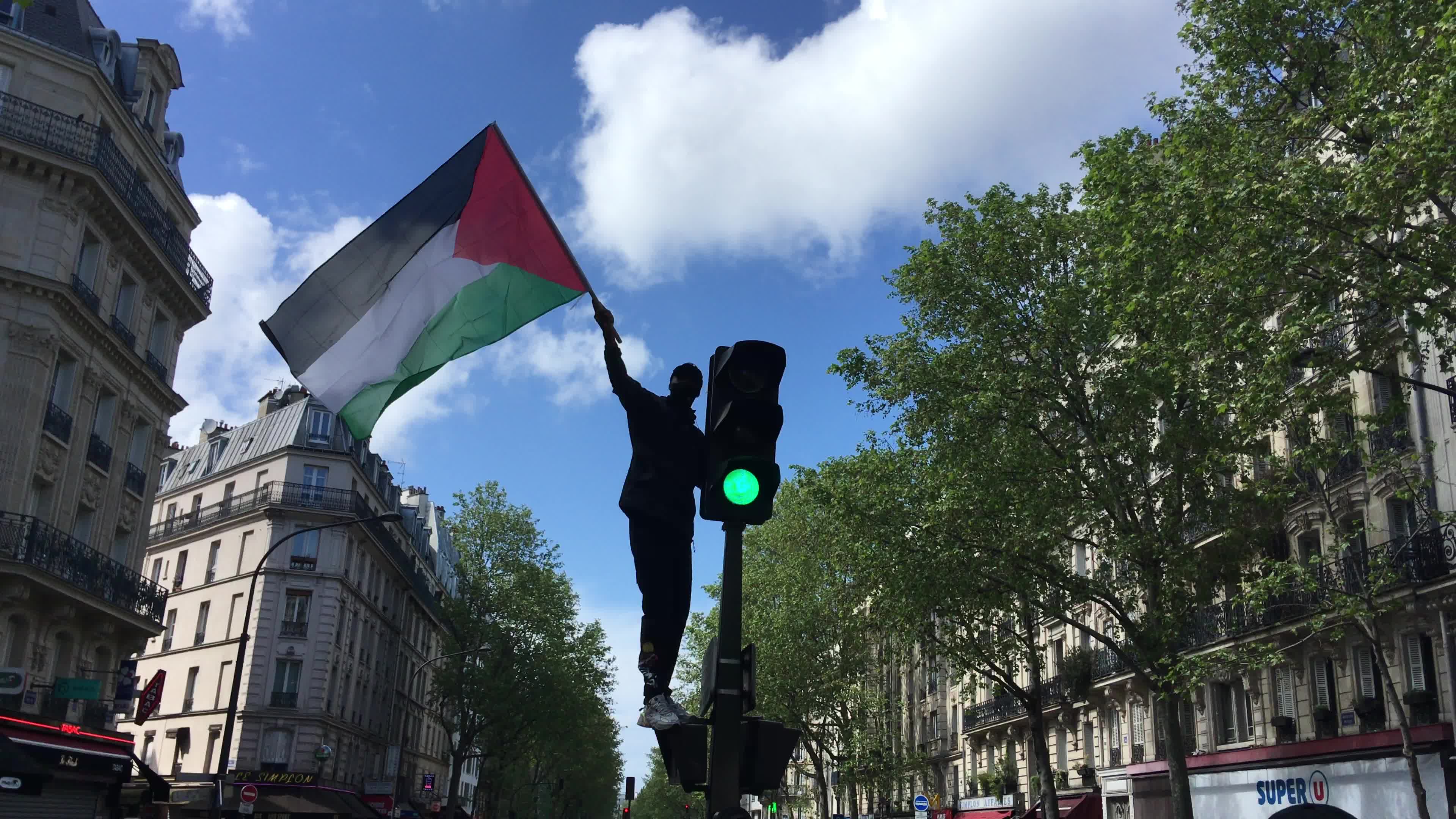 Pro-Palestinian protest in Paris