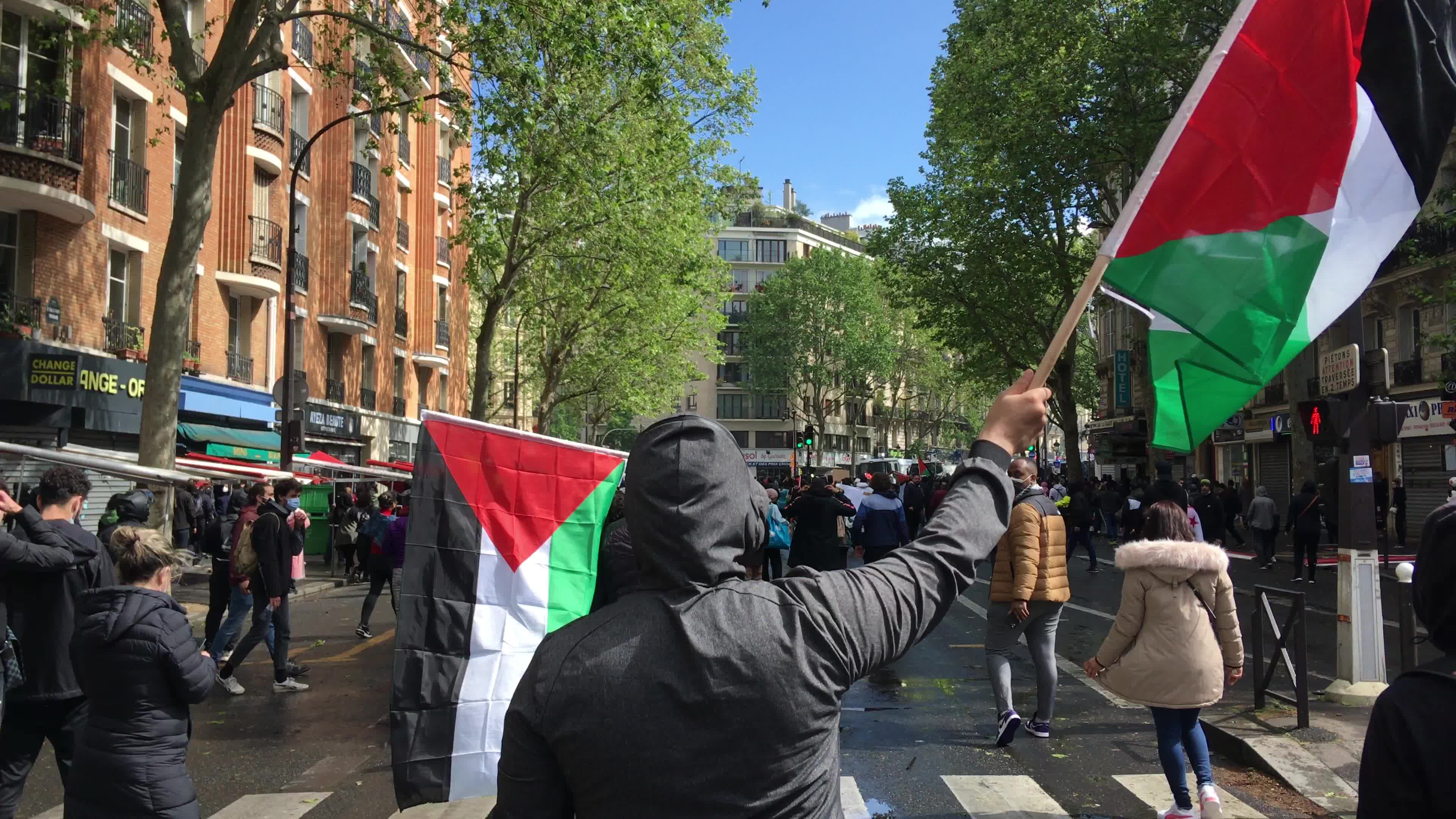 Pro-Palestinian protest in Paris