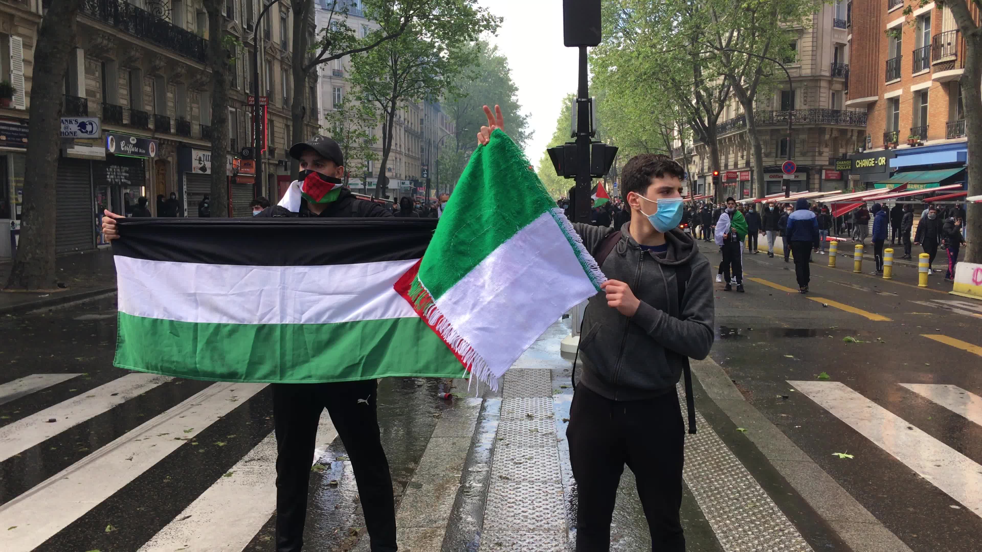 Pro-Palestinian protest in Paris