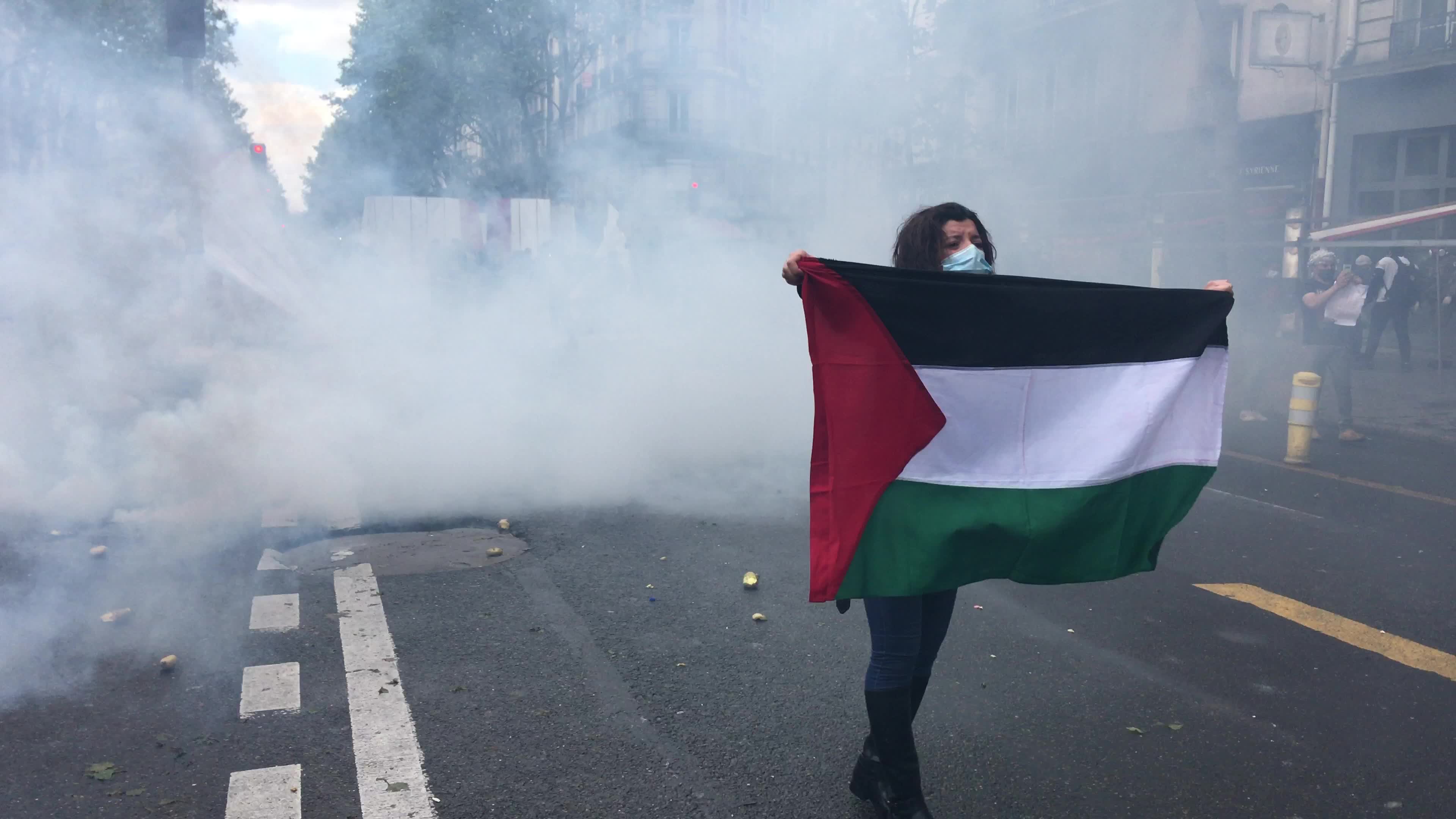 Pro-Palestinian protest in Paris