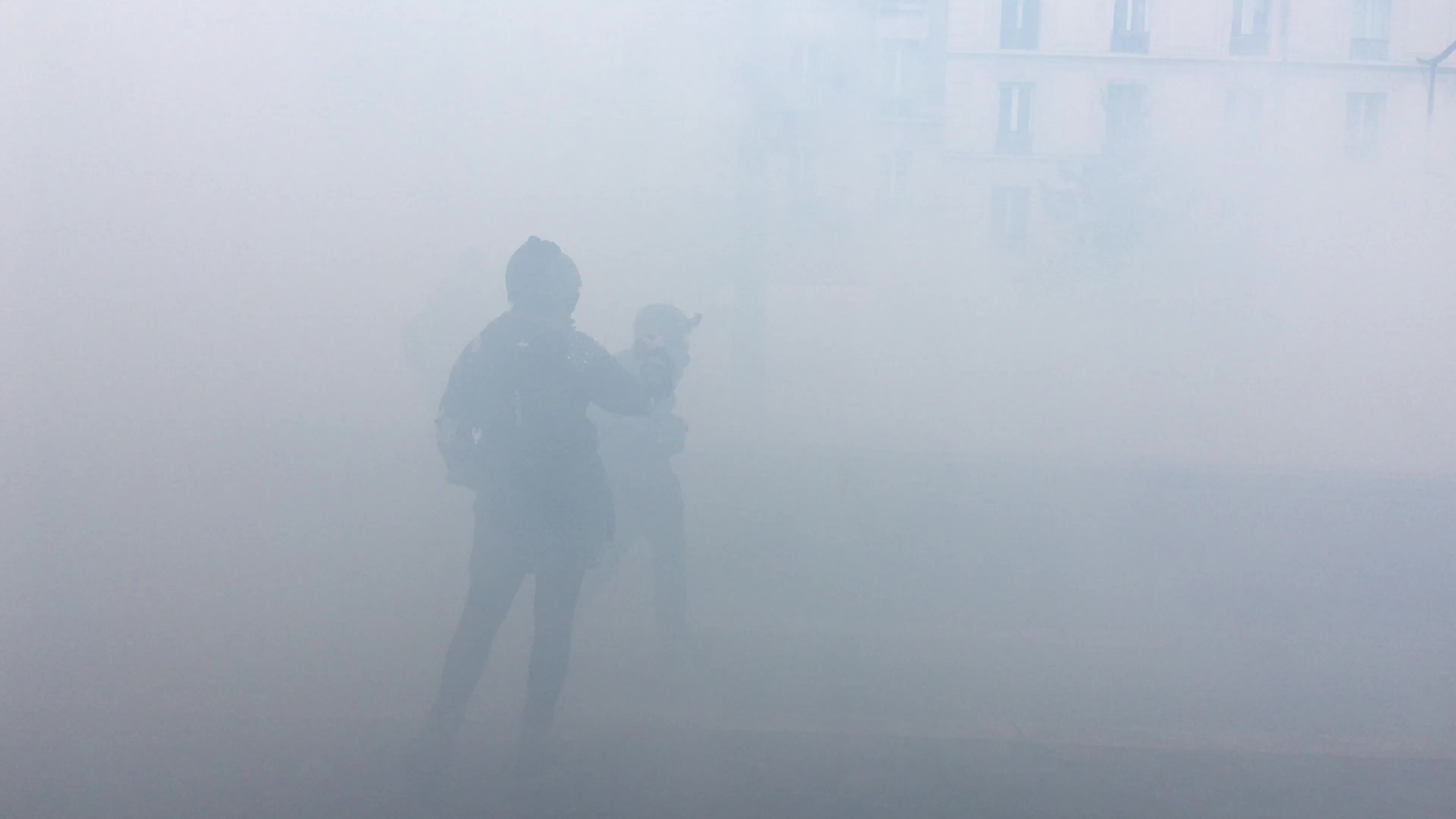 Pro-Palestinian protest in Paris
