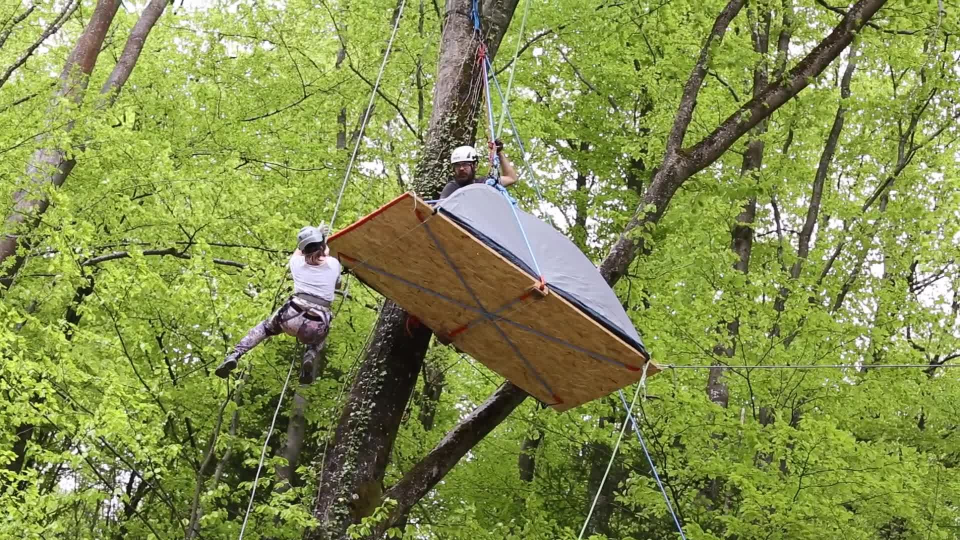 Protest against Deforestation in Poland