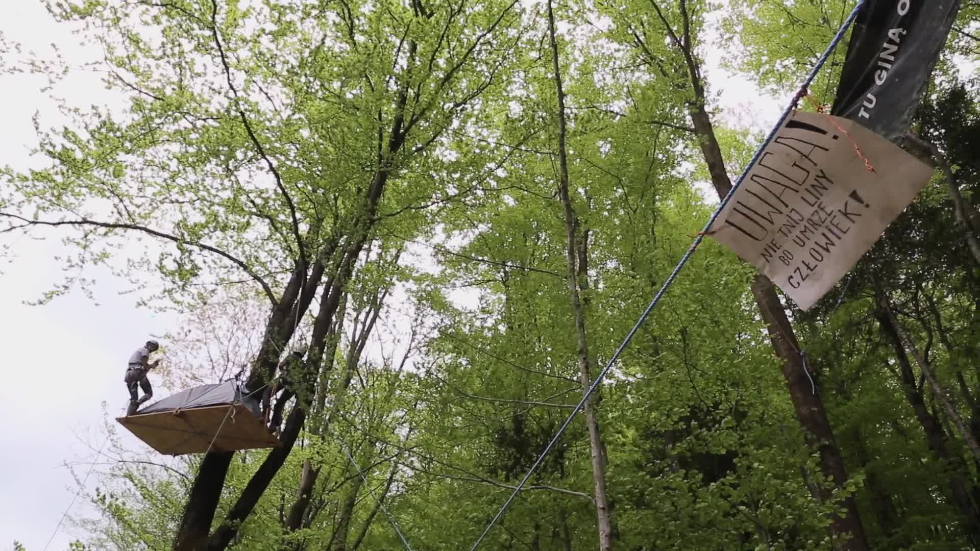 Protest against Deforestation in Poland