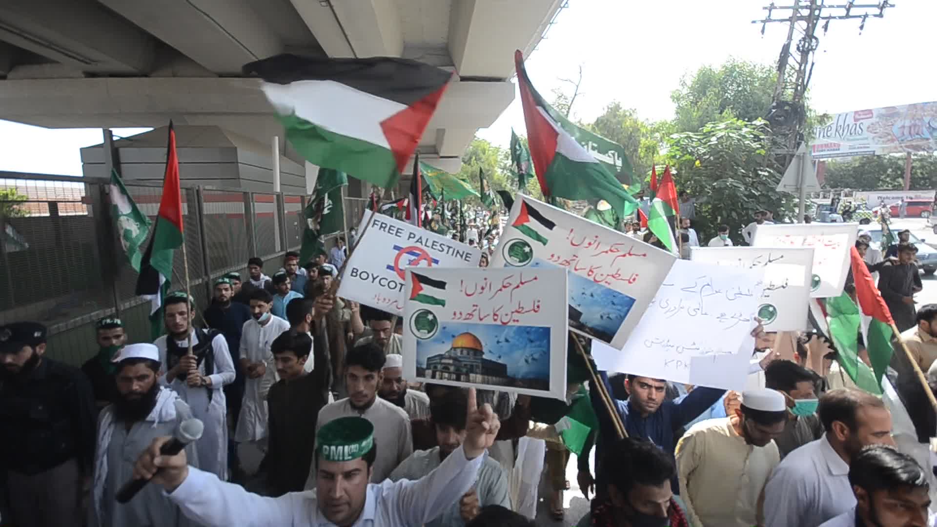 Demonstration in support of Palestine, in Peshawar, Pakistan