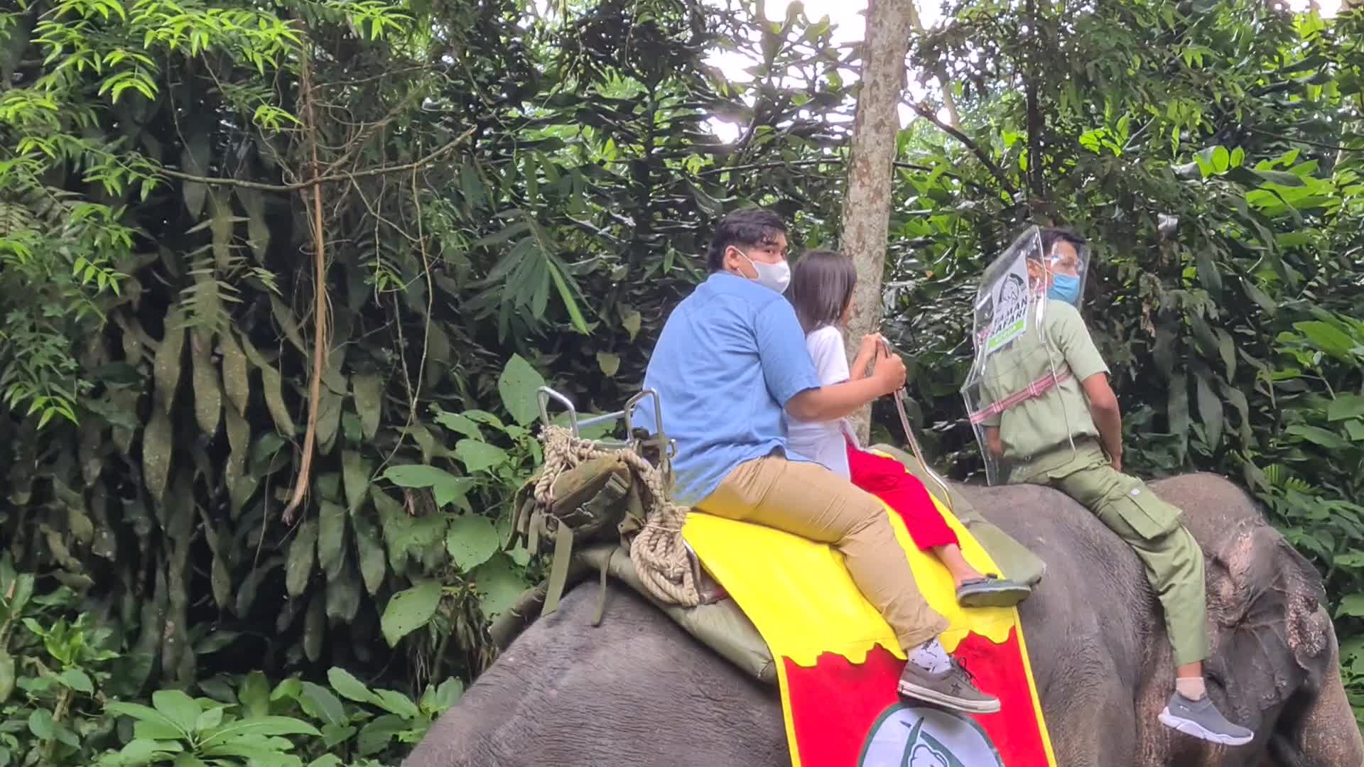 Taman Safari Zoo reopen in Indonesia amid the Covid-19 pandemic