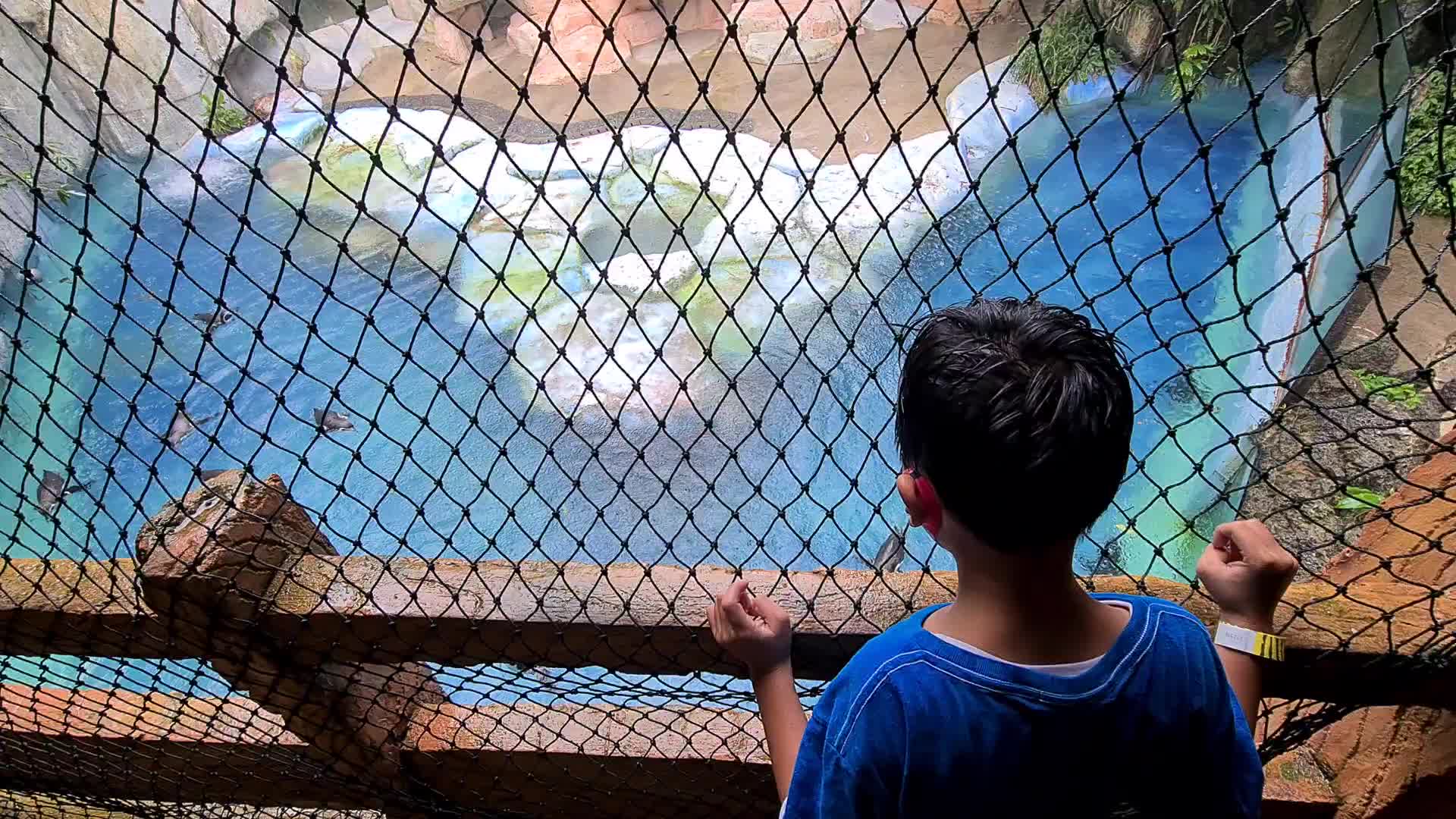 Taman Safari Zoo reopen in Indonesia amid the Covid-19 pandemic