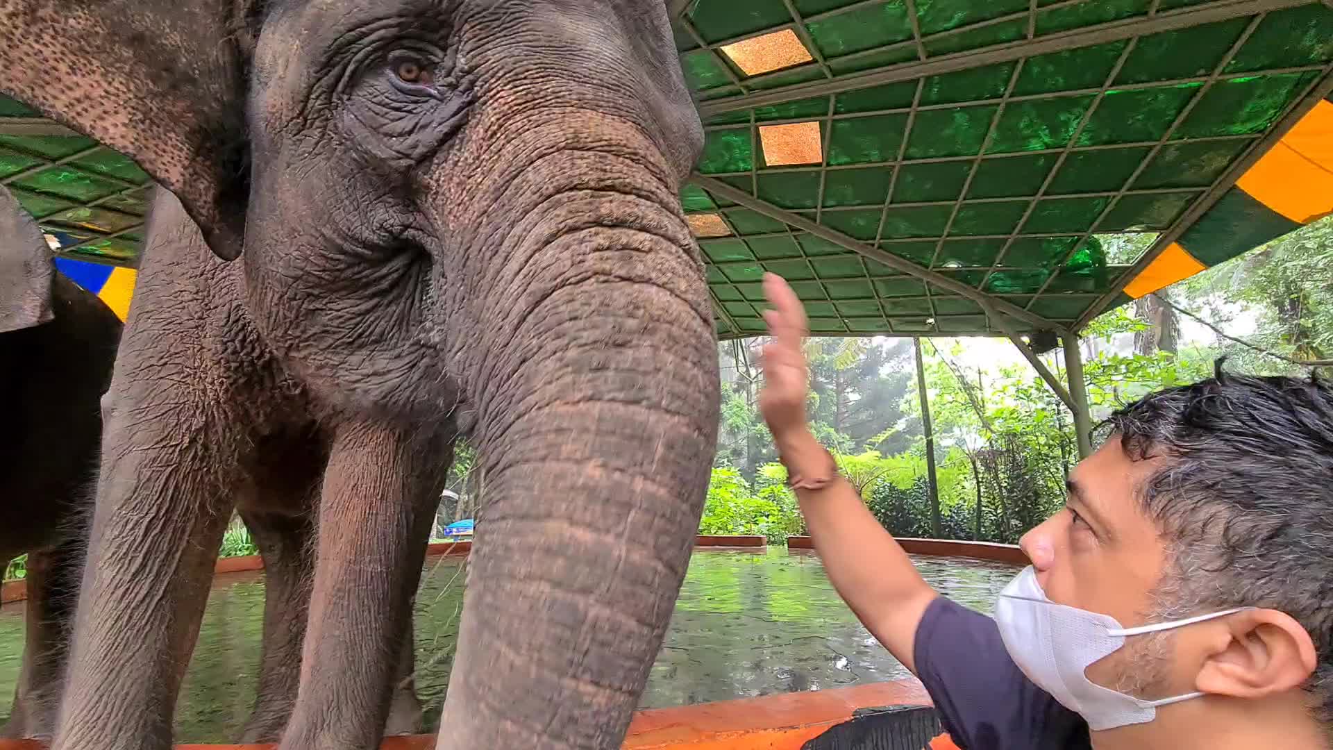 Taman Safari Zoo reopen in Indonesia amid the Covid-19 pandemic