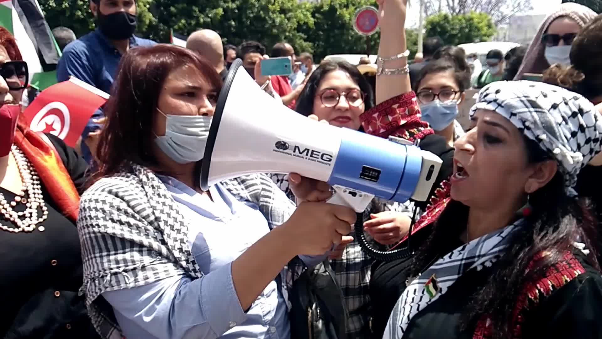 Tunisians Call for Criminalization of Normalization with Israel In Tunis