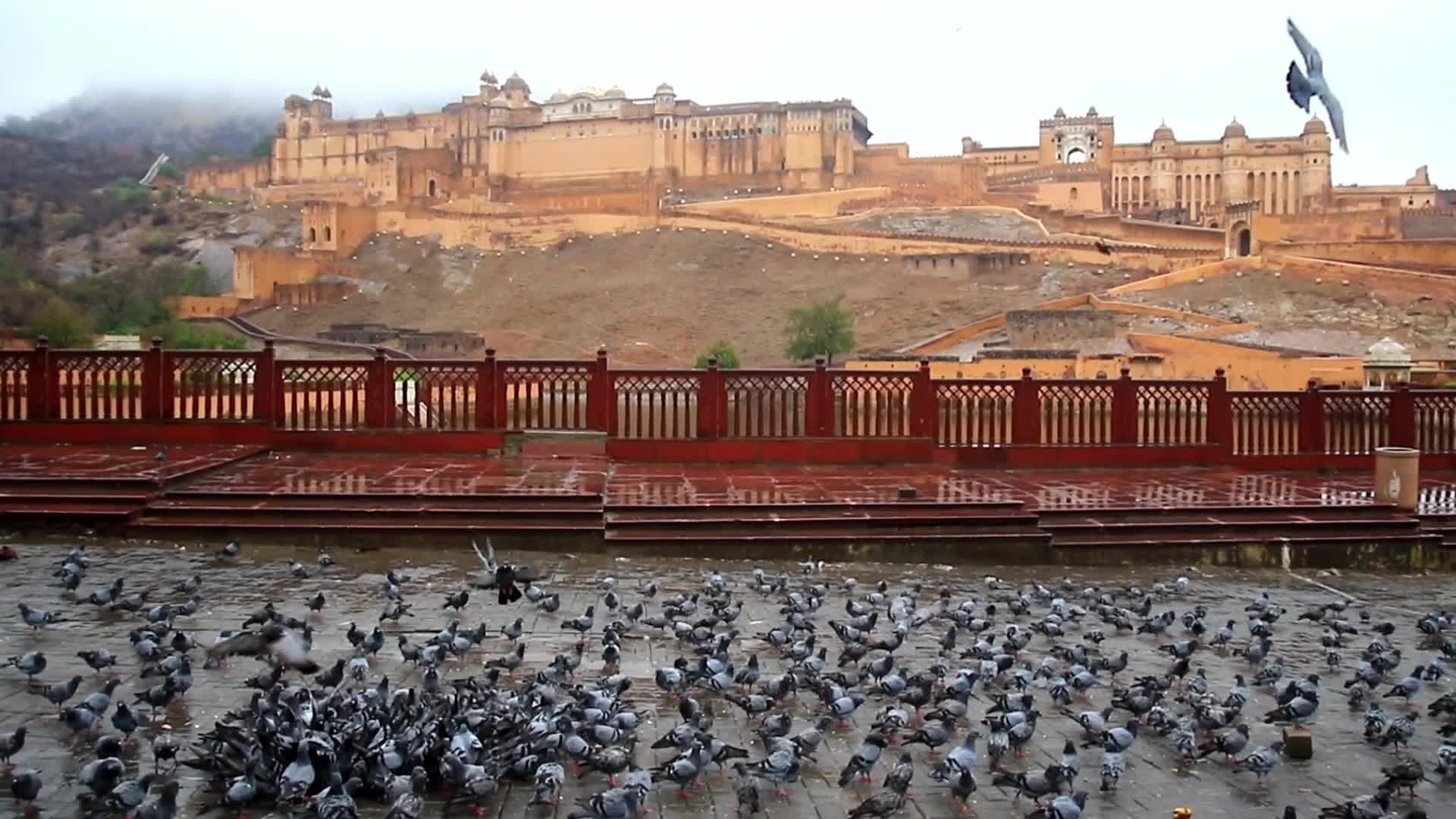 Rainy Day In Jaipur