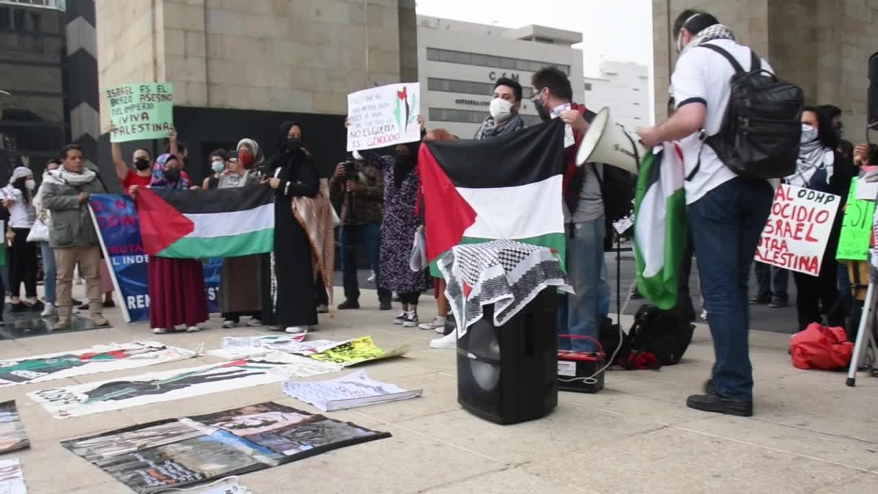 Pro Palestine rally in Mexico