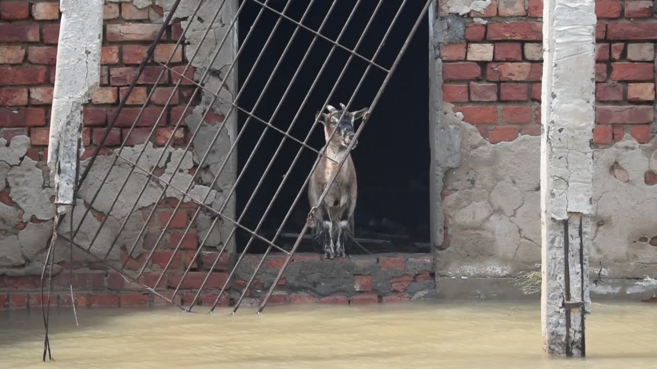 Aftermath of cyclone Yaas in West Bengal
