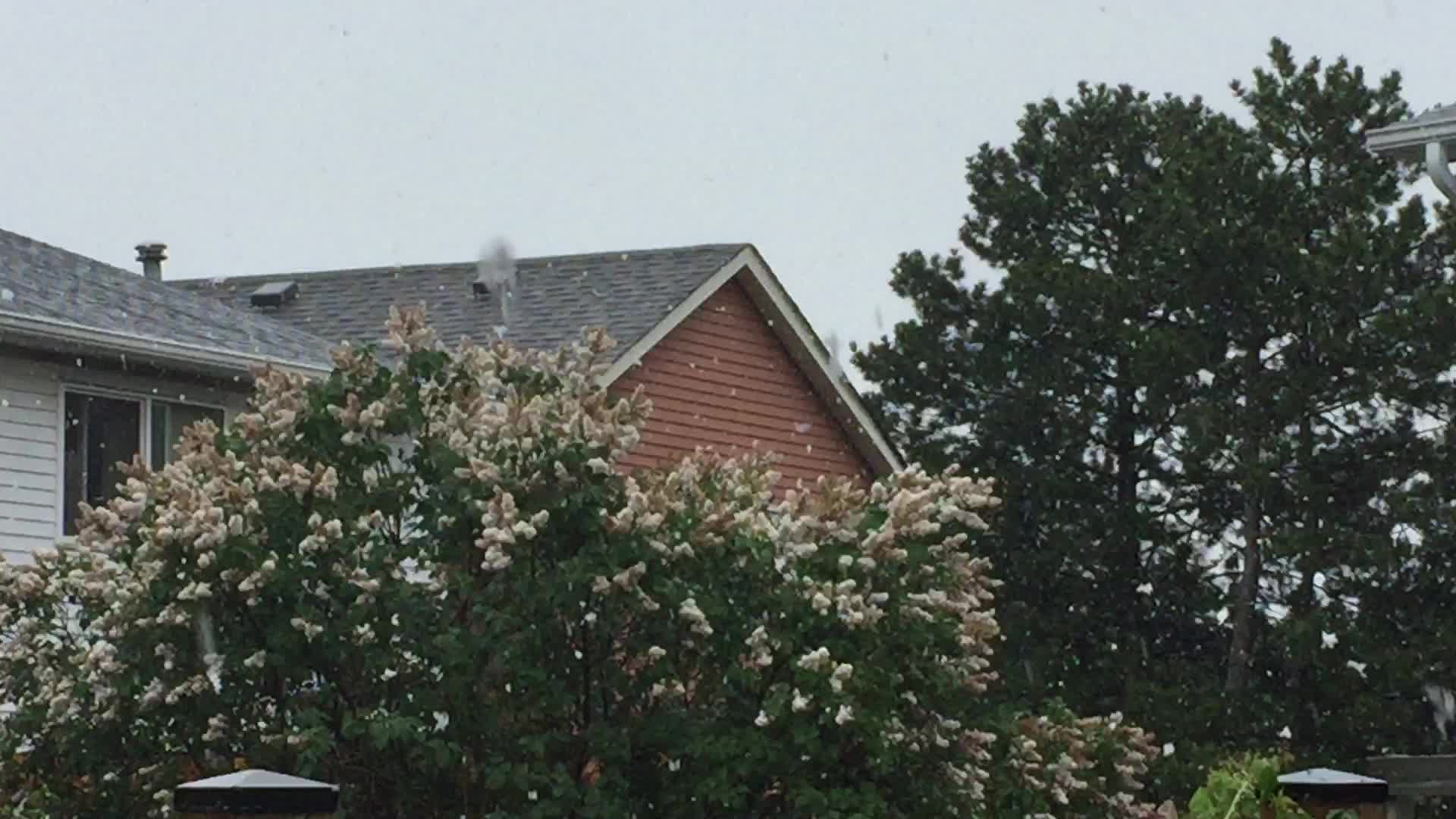 Spring season snowfall in Toronto