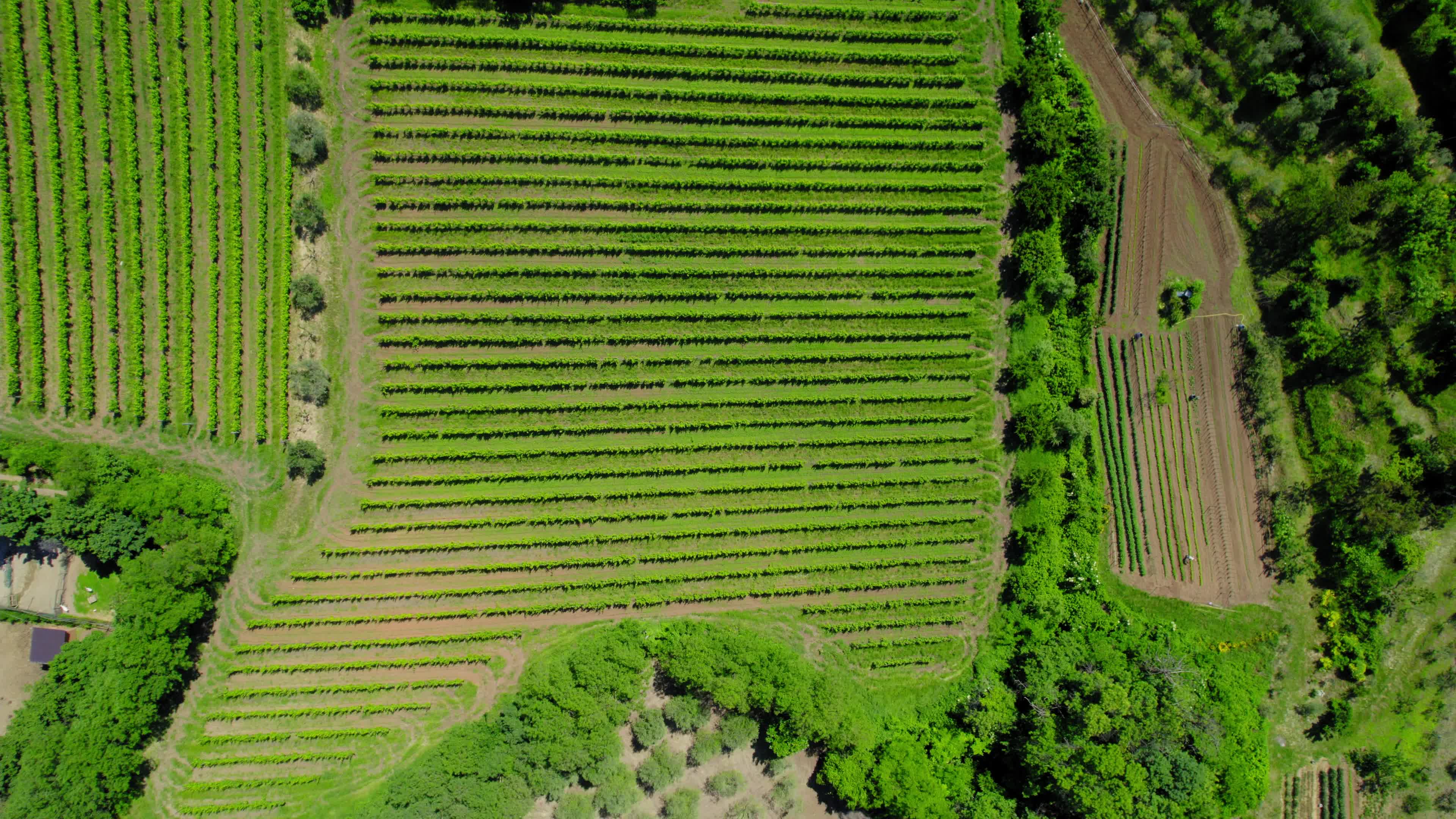 Drone View Of Euganean Hills, Italy