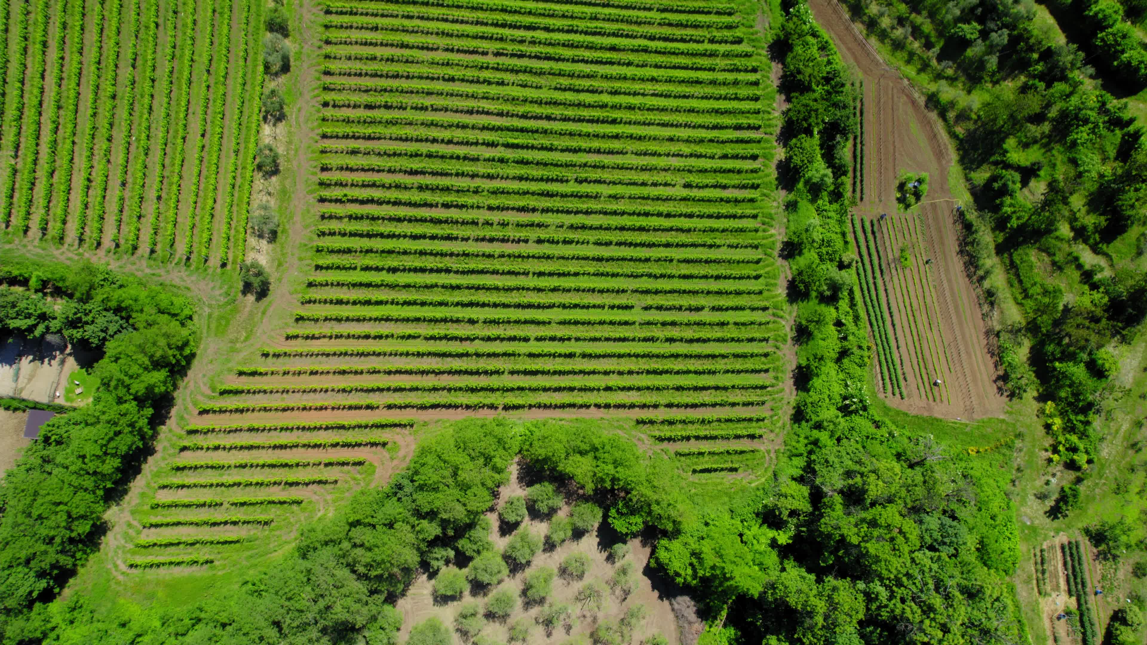 Drone View Of Euganean Hills, Italy