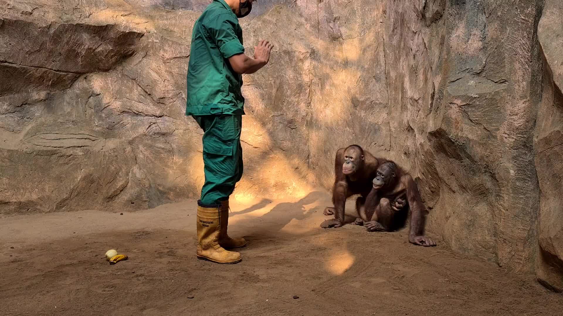Animal Care at Ragunan Zoo in Indonesia