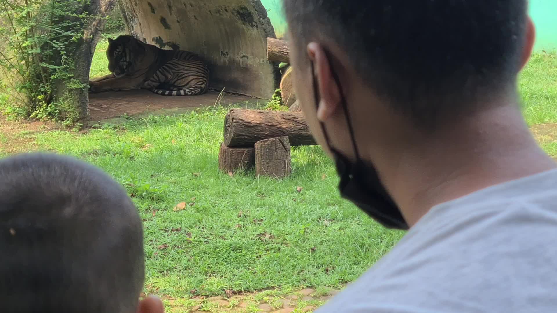 Visit of a zoo in Indonesia