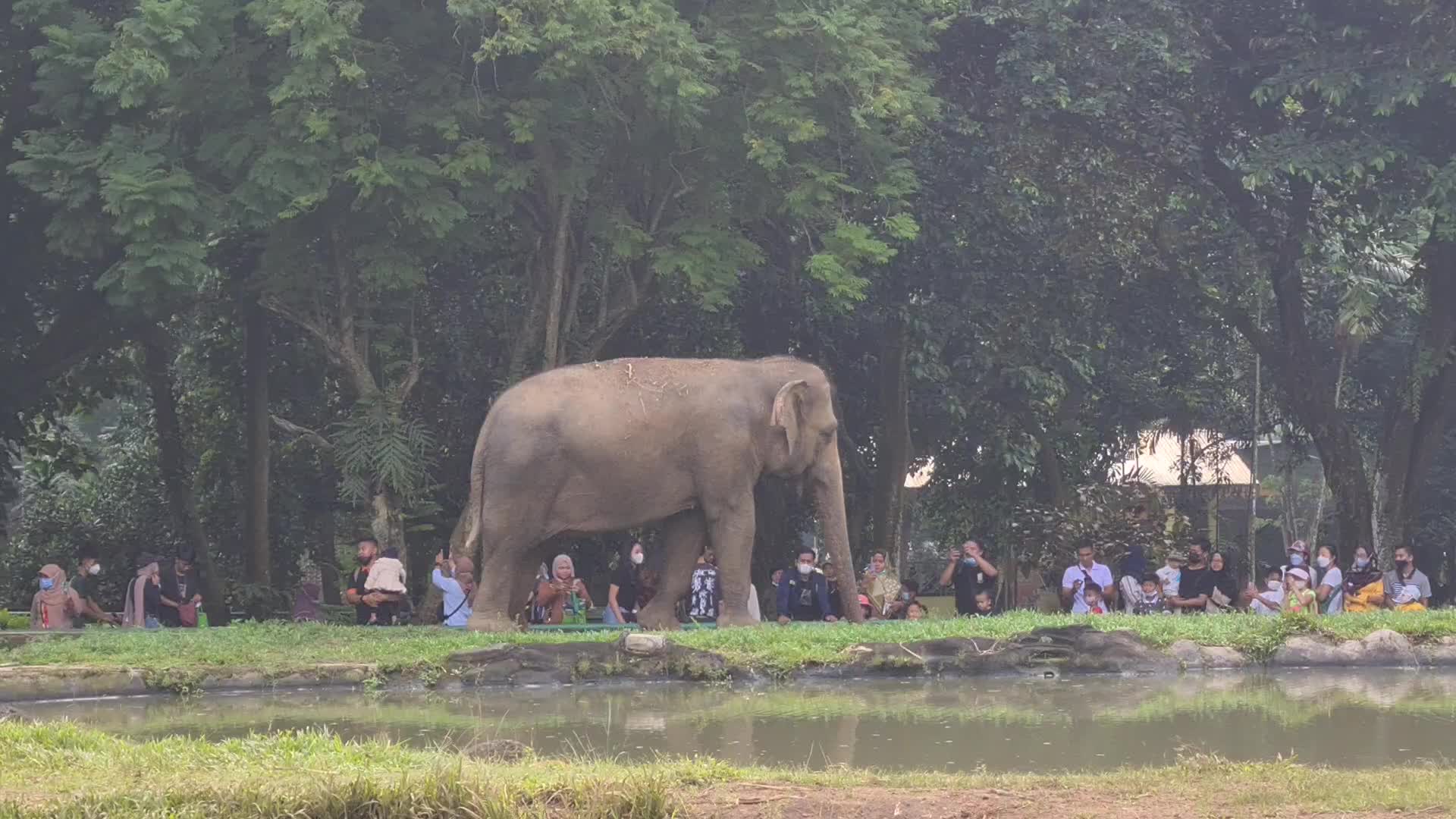 Visit of a zoo in Indonesia