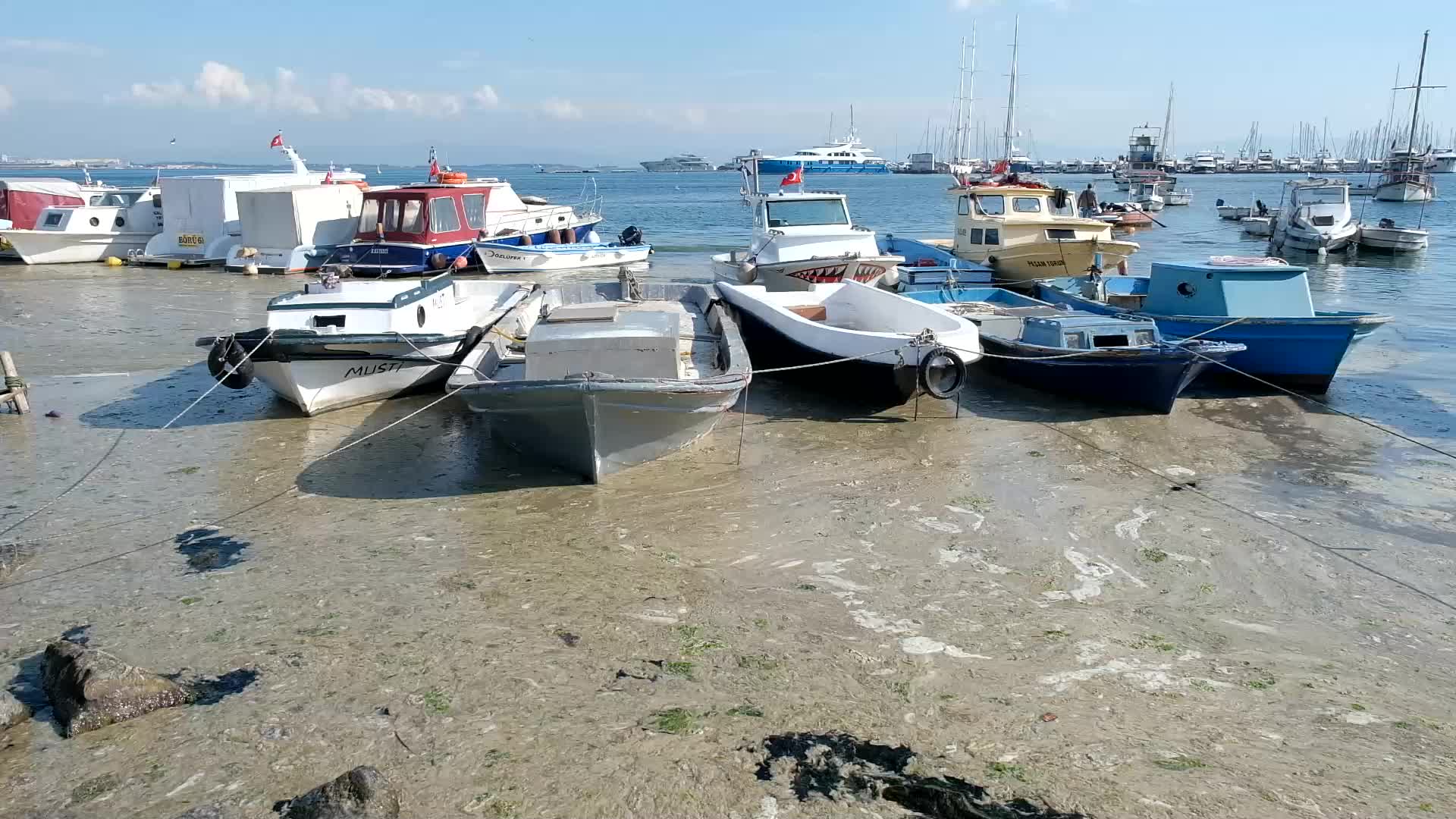Sea snot continues to expand in Marmara Sea
