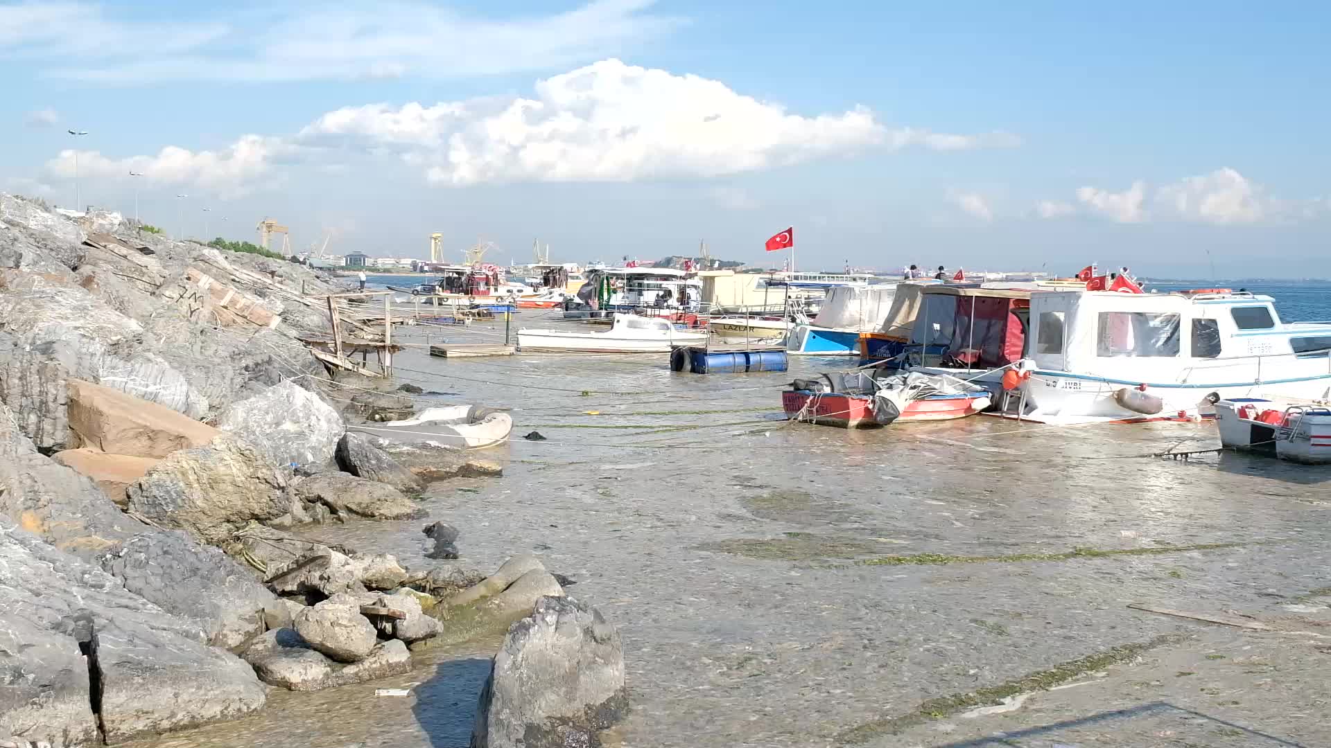 Sea snot continues to expand in Marmara Sea