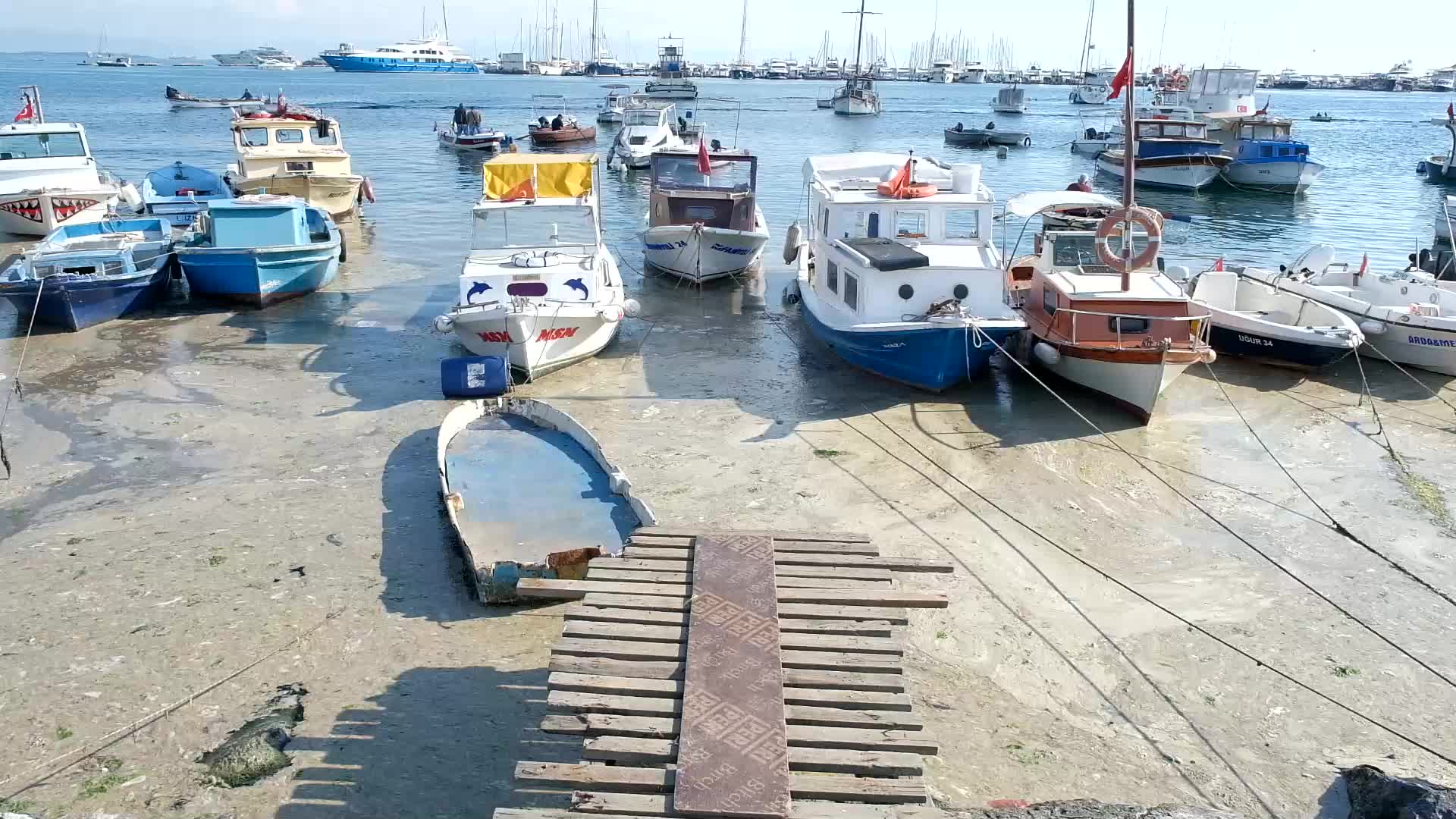 Sea snot continues to expand in Marmara Sea