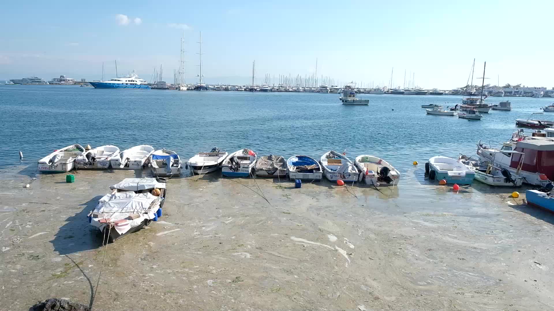 Sea snot continues to expand in Marmara Sea