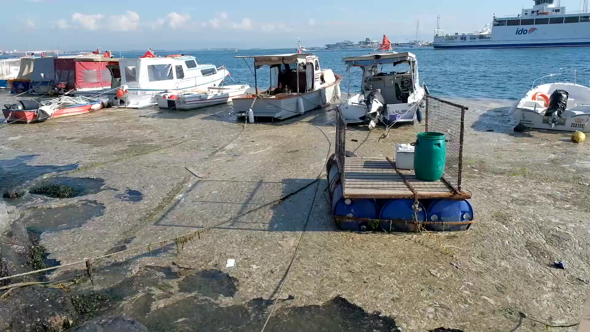 Sea snot continues to expand in Marmara Sea