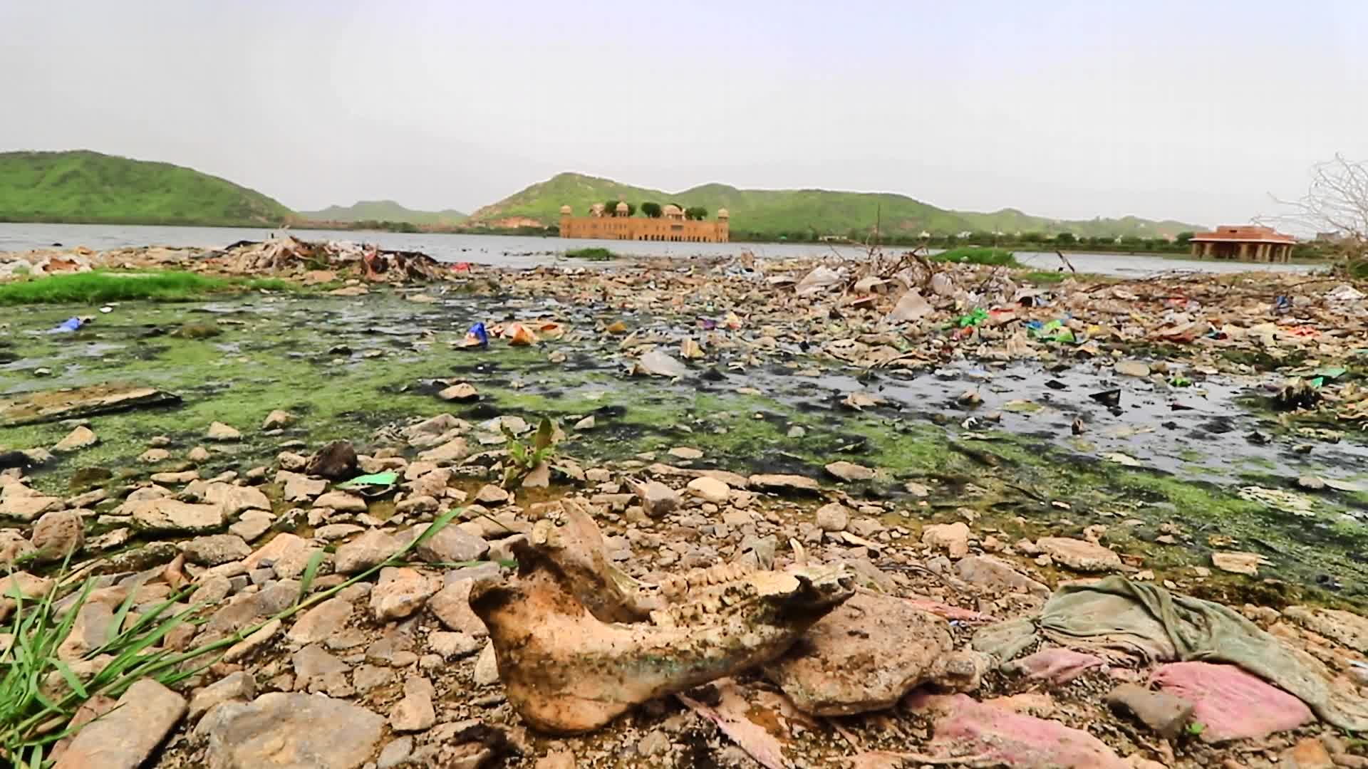 Polluted Banks Of Jal Mahal In Jaipur