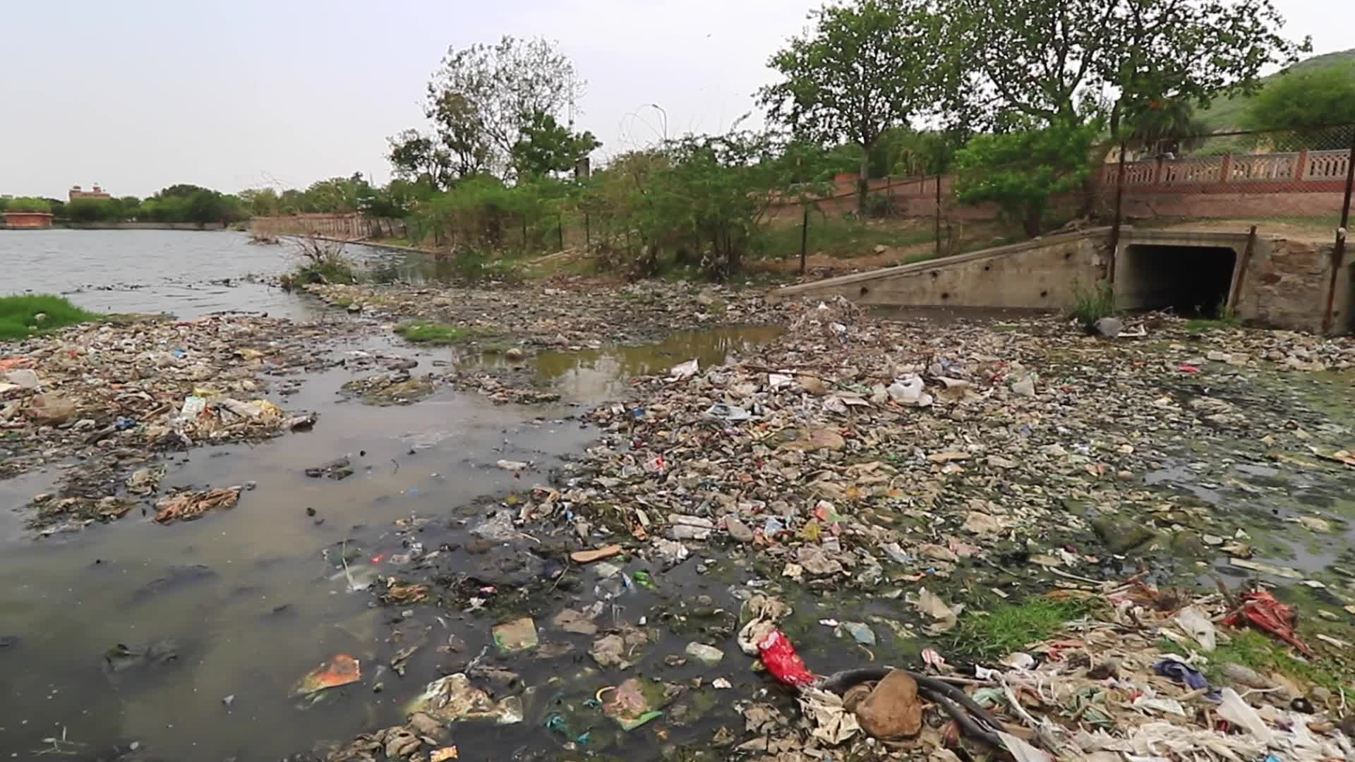 Polluted Banks Of Jal Mahal In Jaipur