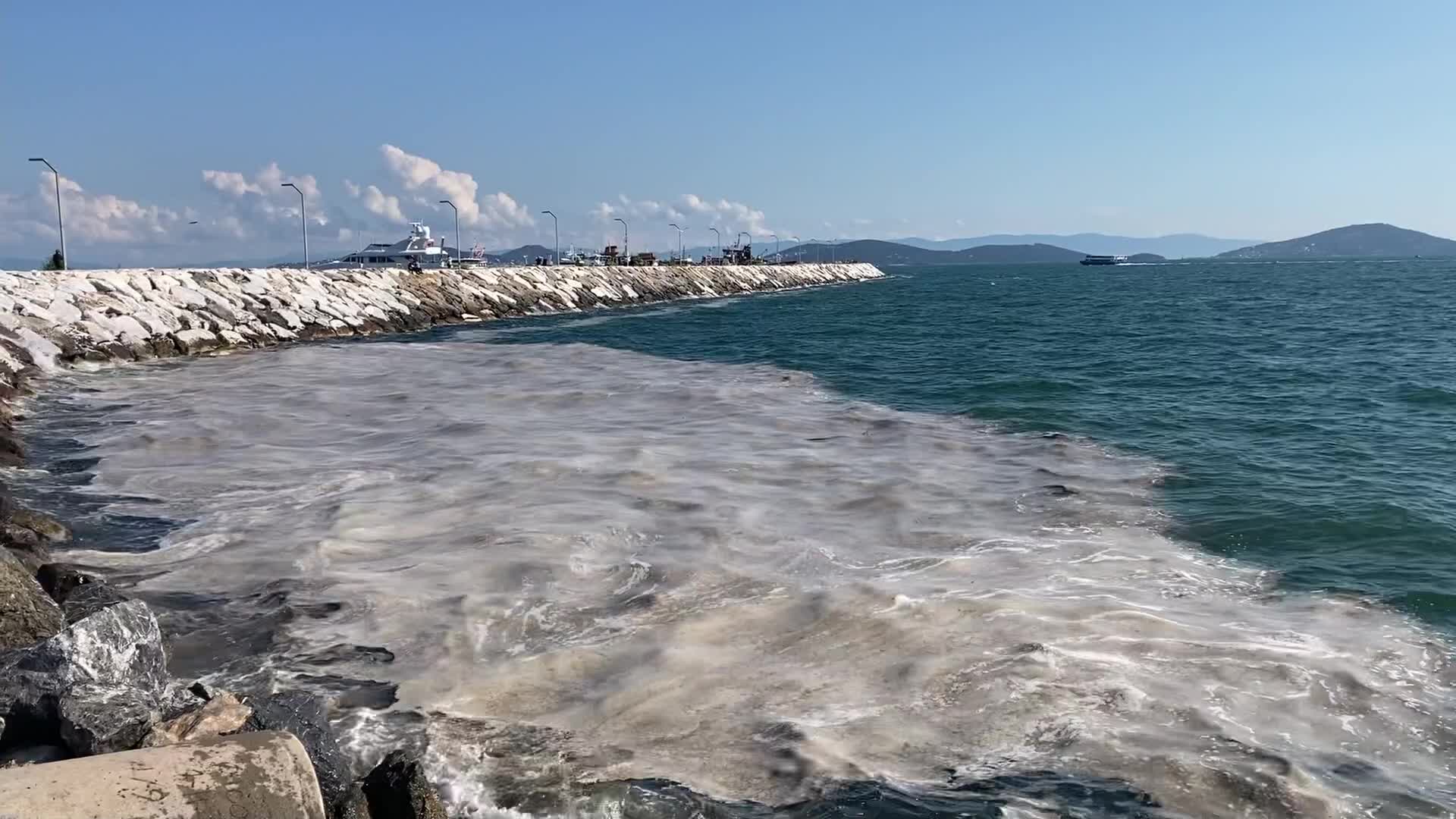 Sea Snot Covers The Marmara Sea