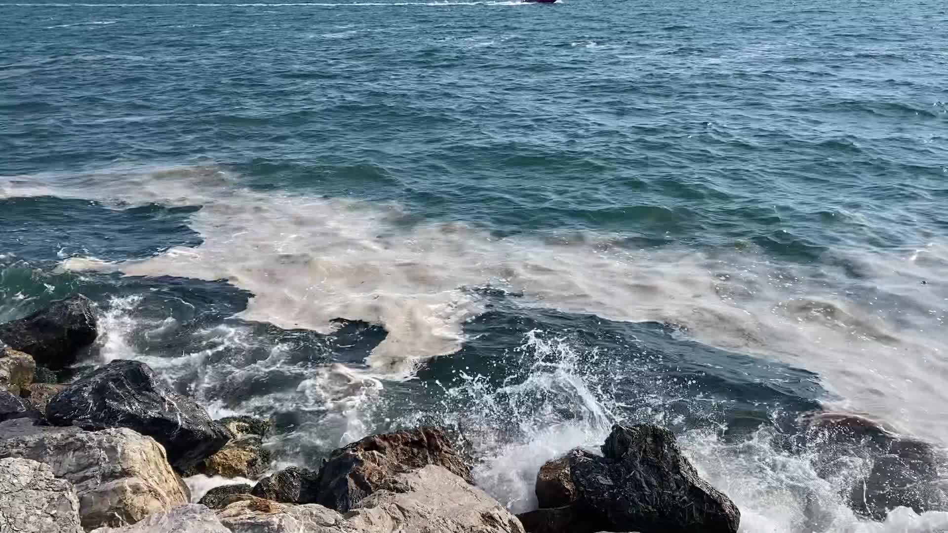 Sea Snot Covers The Marmara Sea