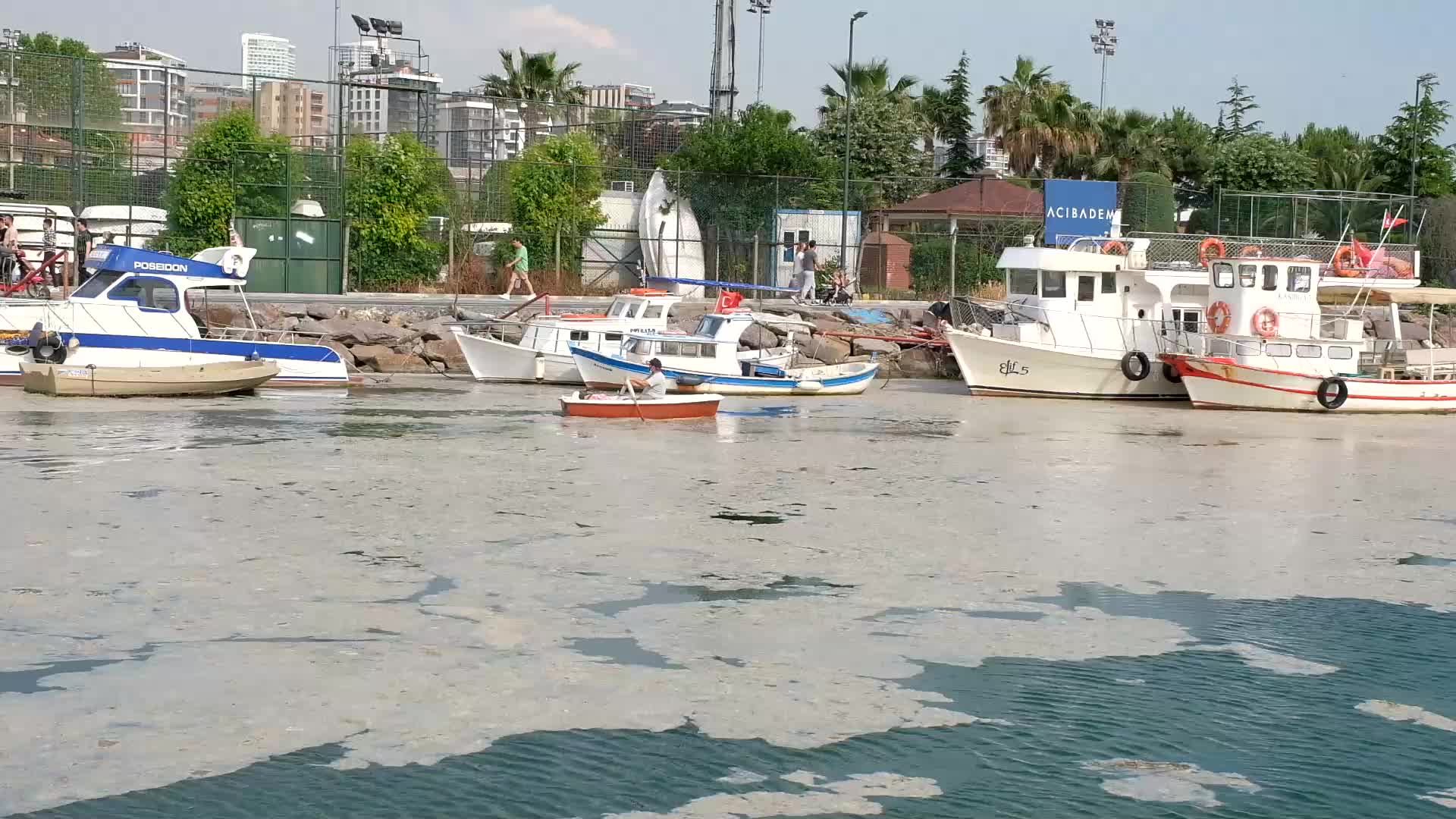 Marmara Sea Was Covered With Mucilage