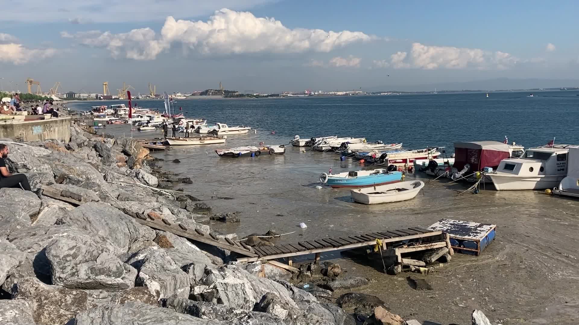 The Marmara Sea Has Been Covered With Mucilage