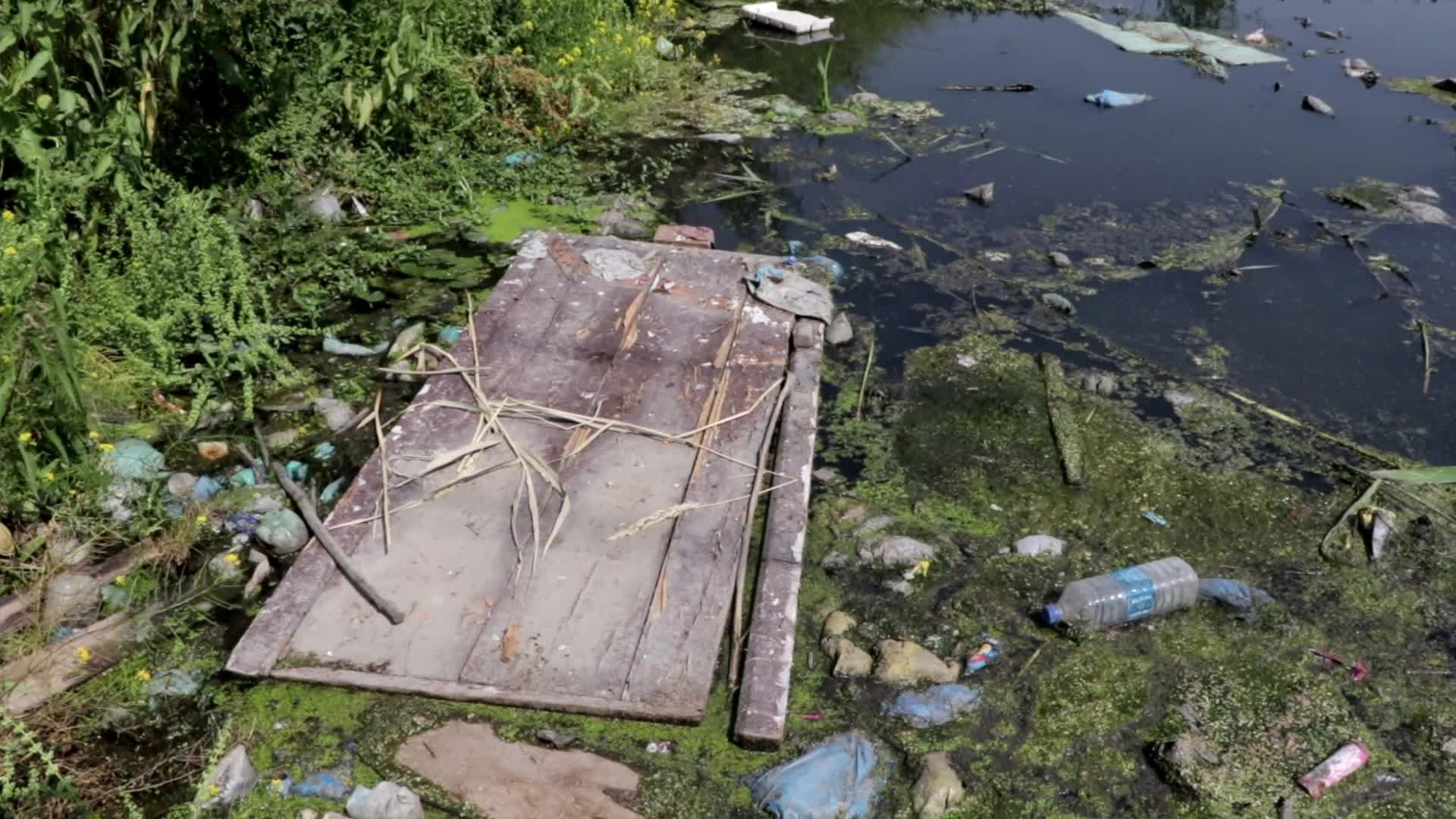 Baba Demh, Srinagar city’s Polluted Water body