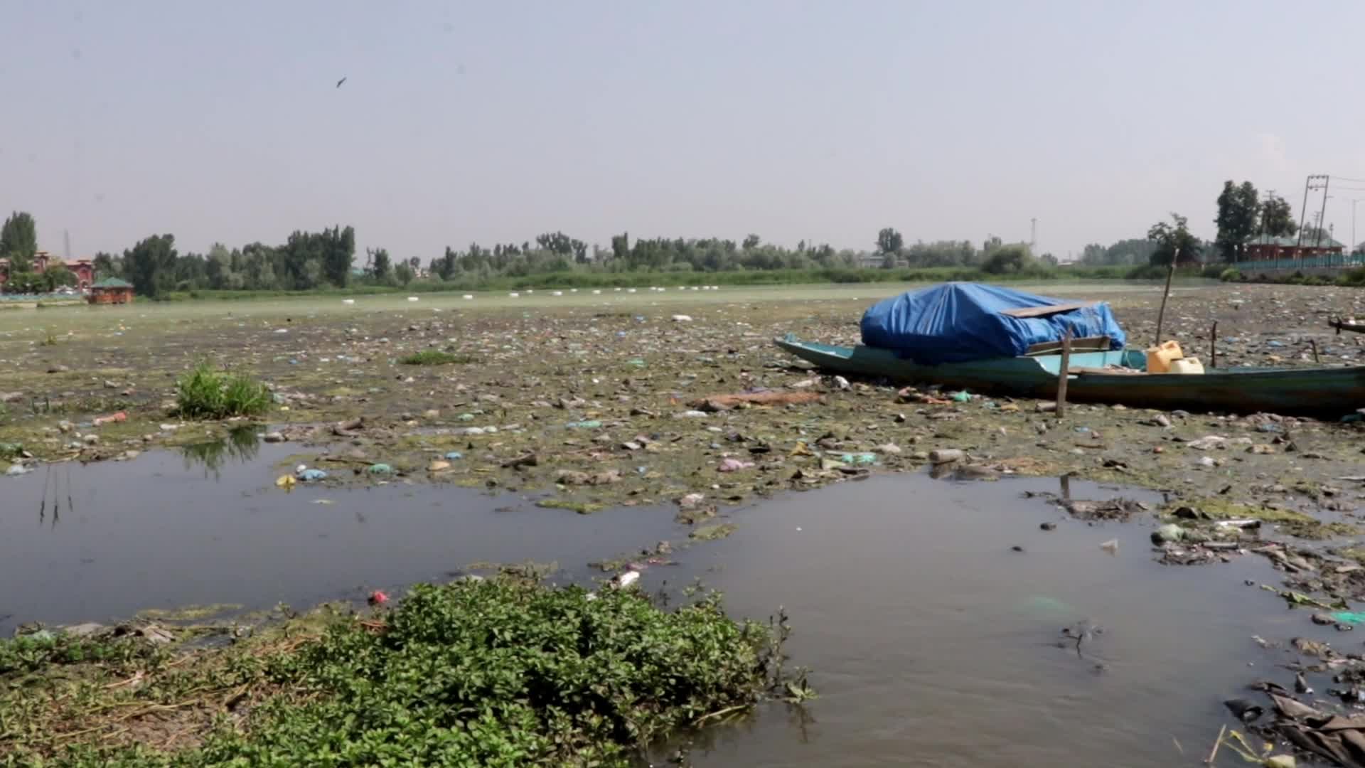 Baba Demh, Srinagar city’s Polluted Water body