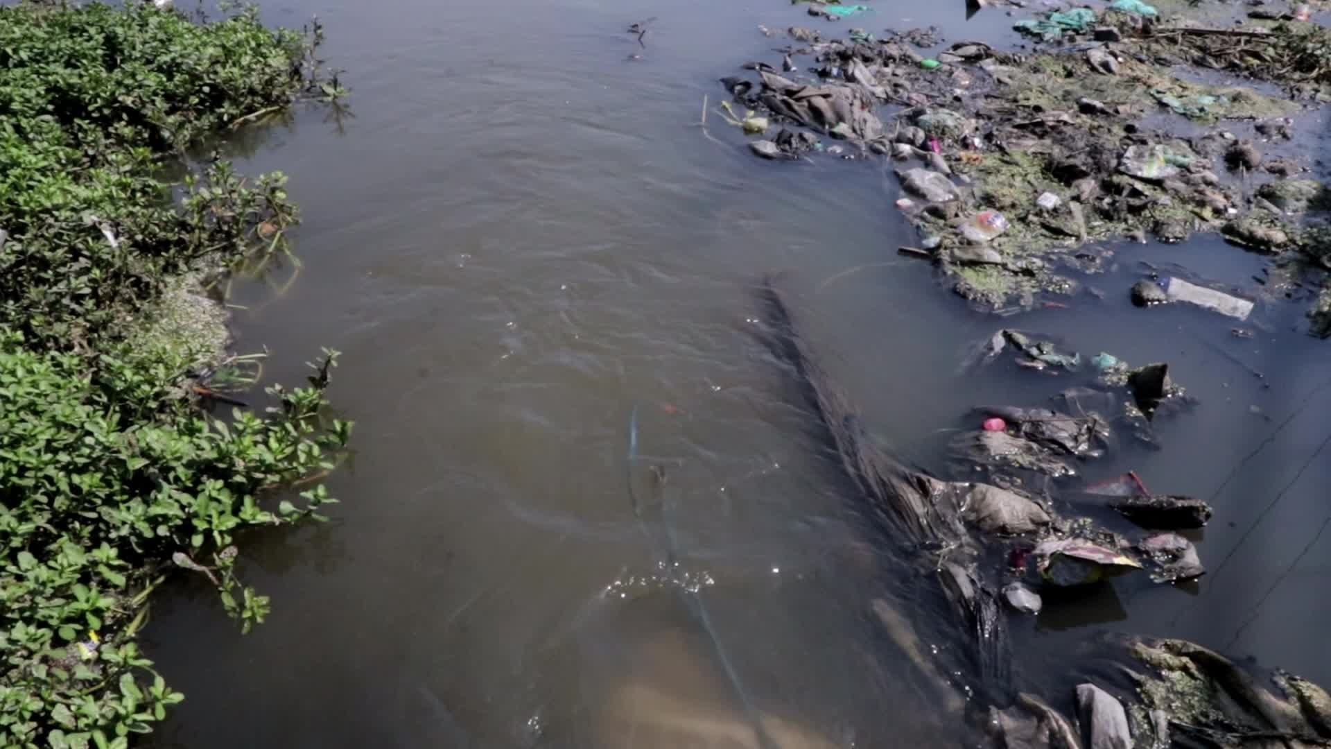 Baba Demh, Srinagar city’s Polluted Water body