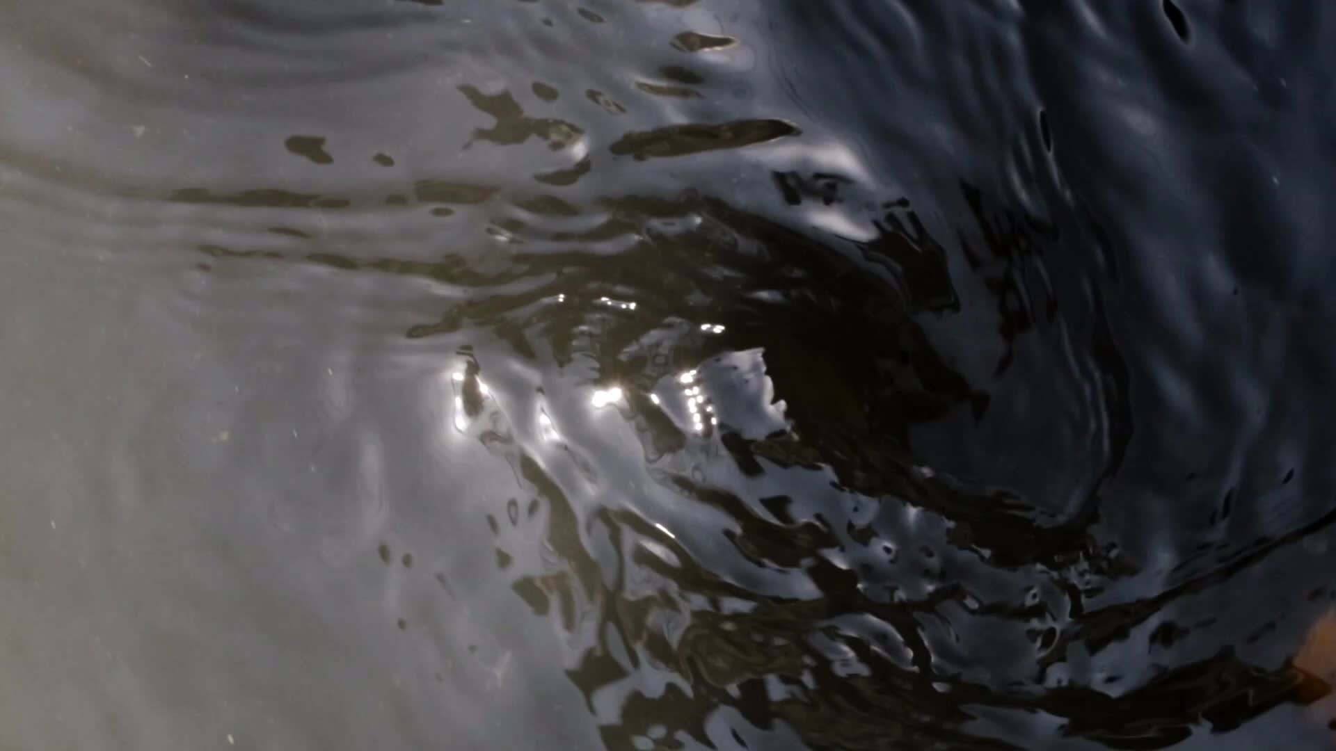 Baba Demh, Srinagar city’s Polluted Water body