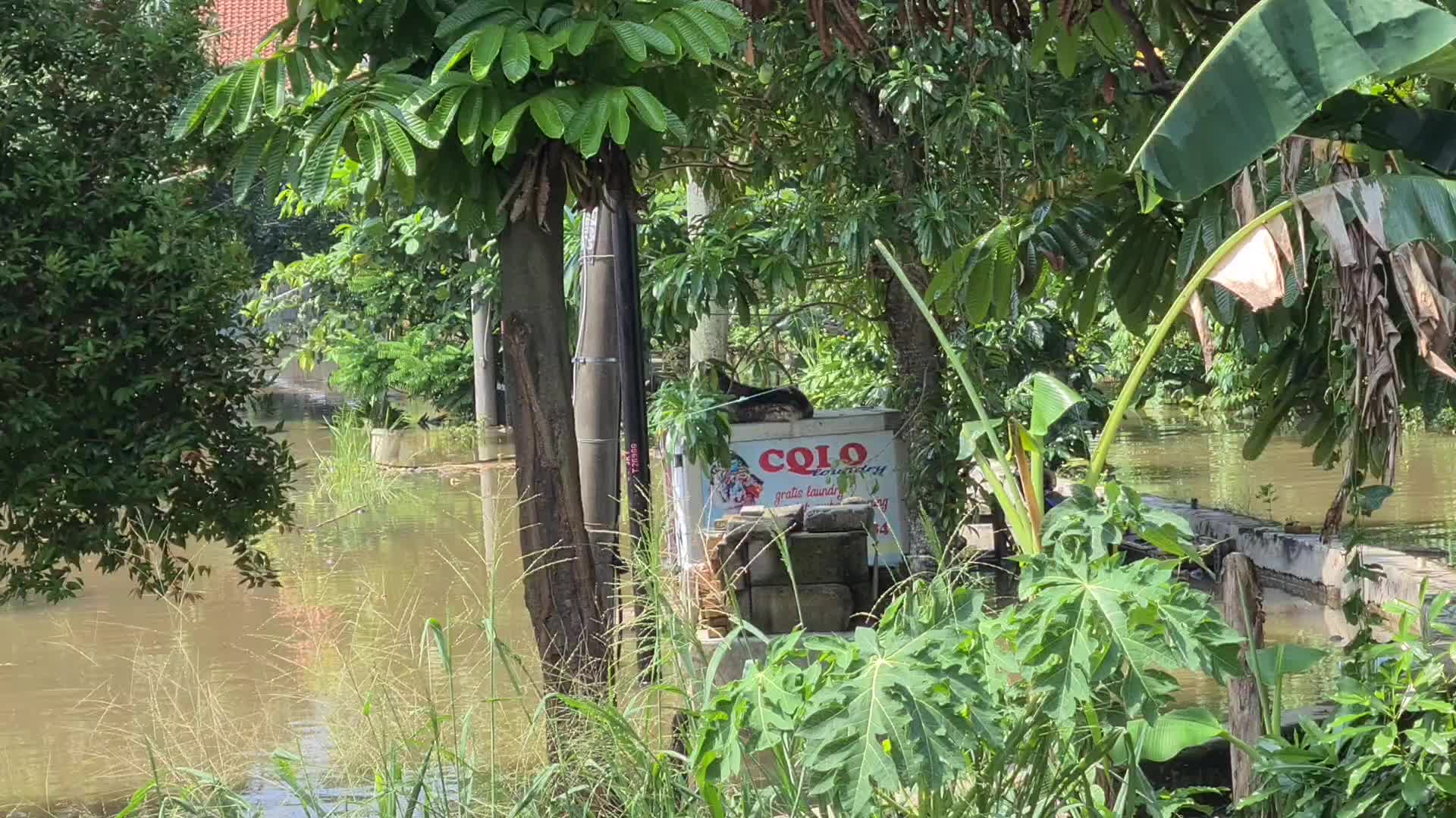 Flood in Indonesia