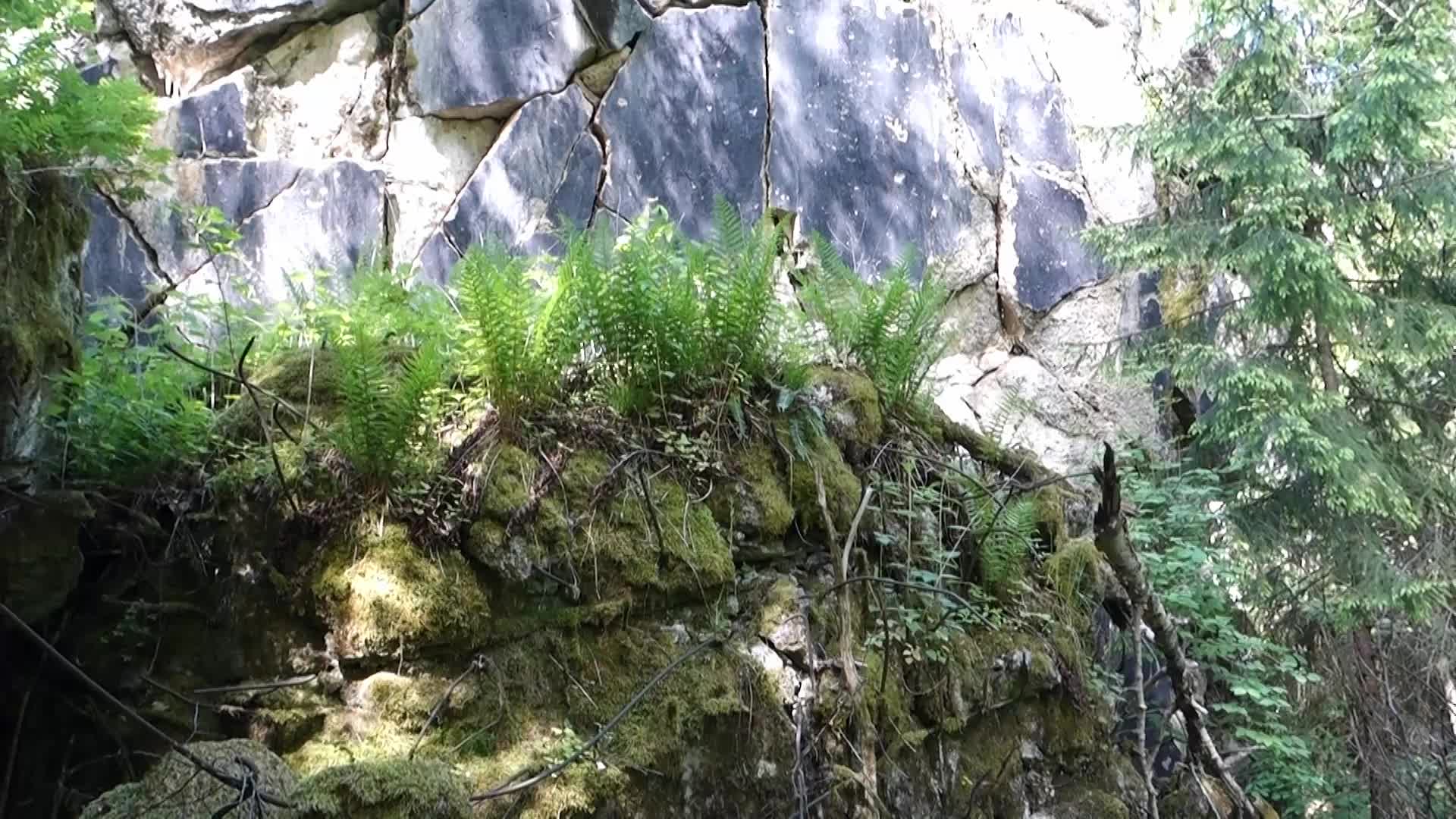 Wolfsschanze in Gierloz, Poland