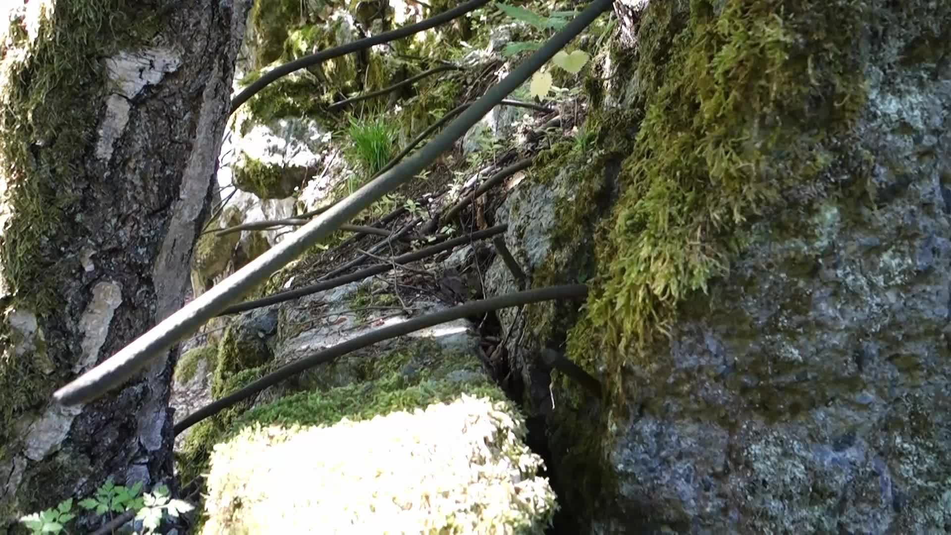 Wolfsschanze in Gierloz, Poland