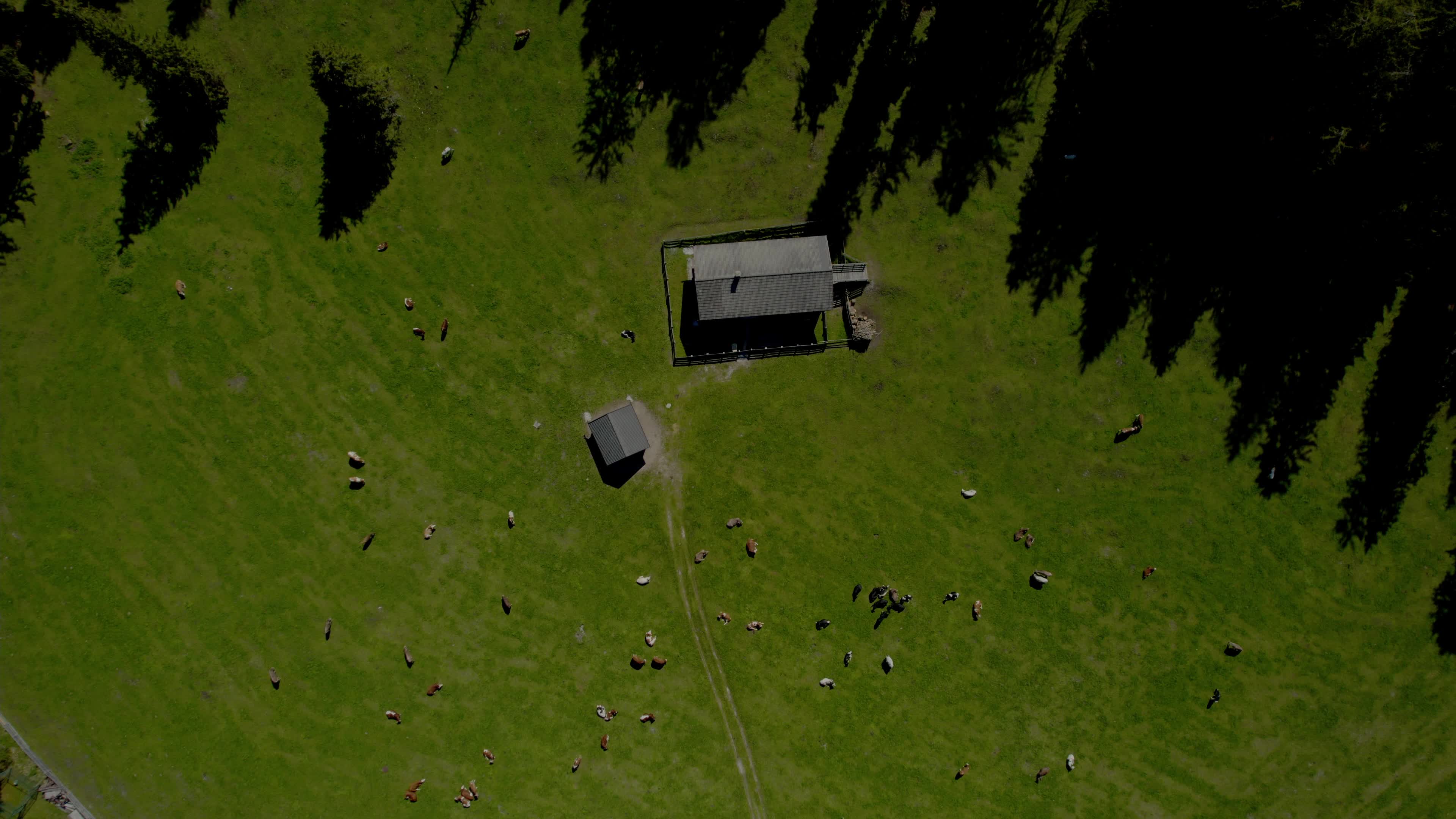 Drone View Of Italian Alps